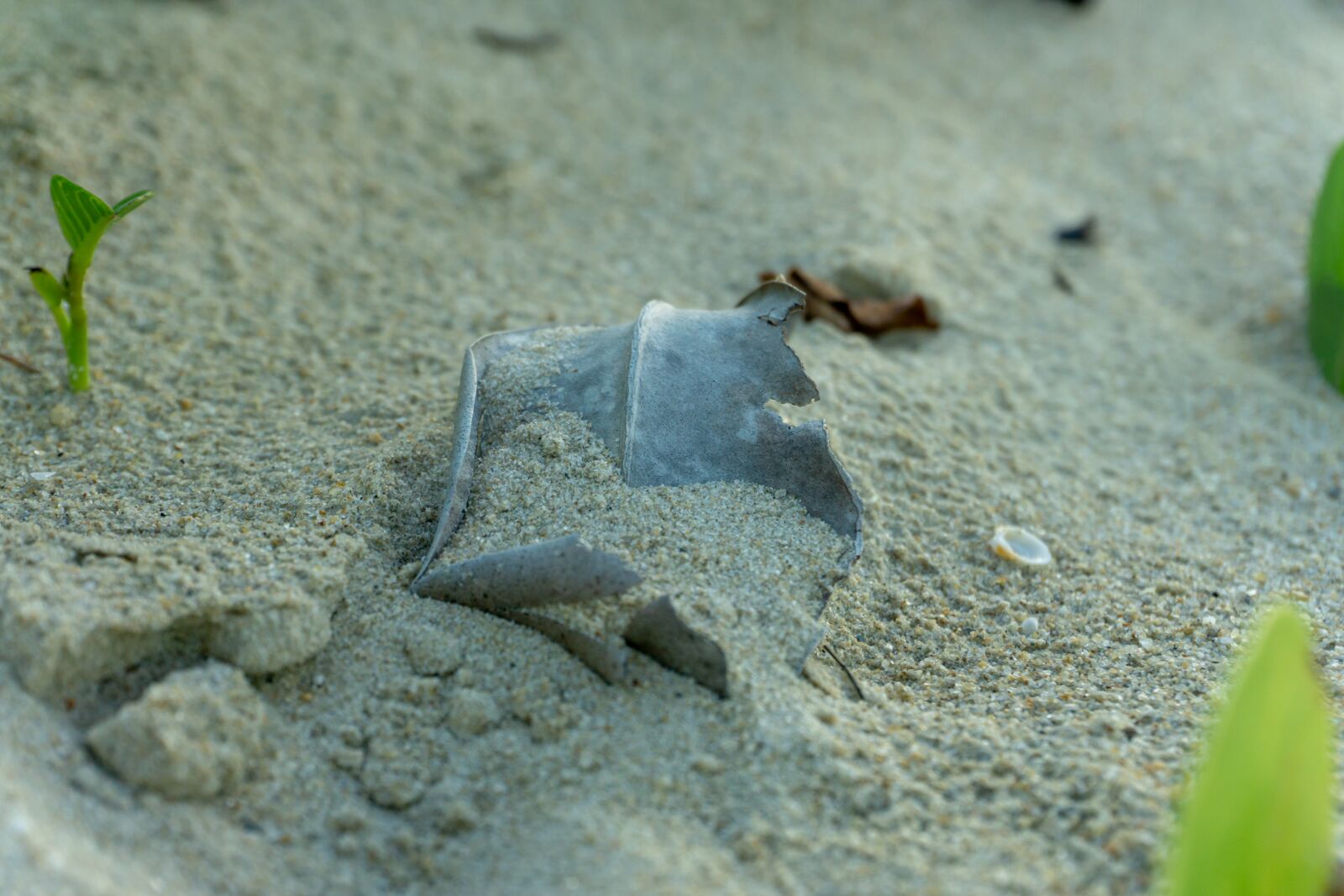 Sony a6000 sample photo. Leaf, sand, beach photography