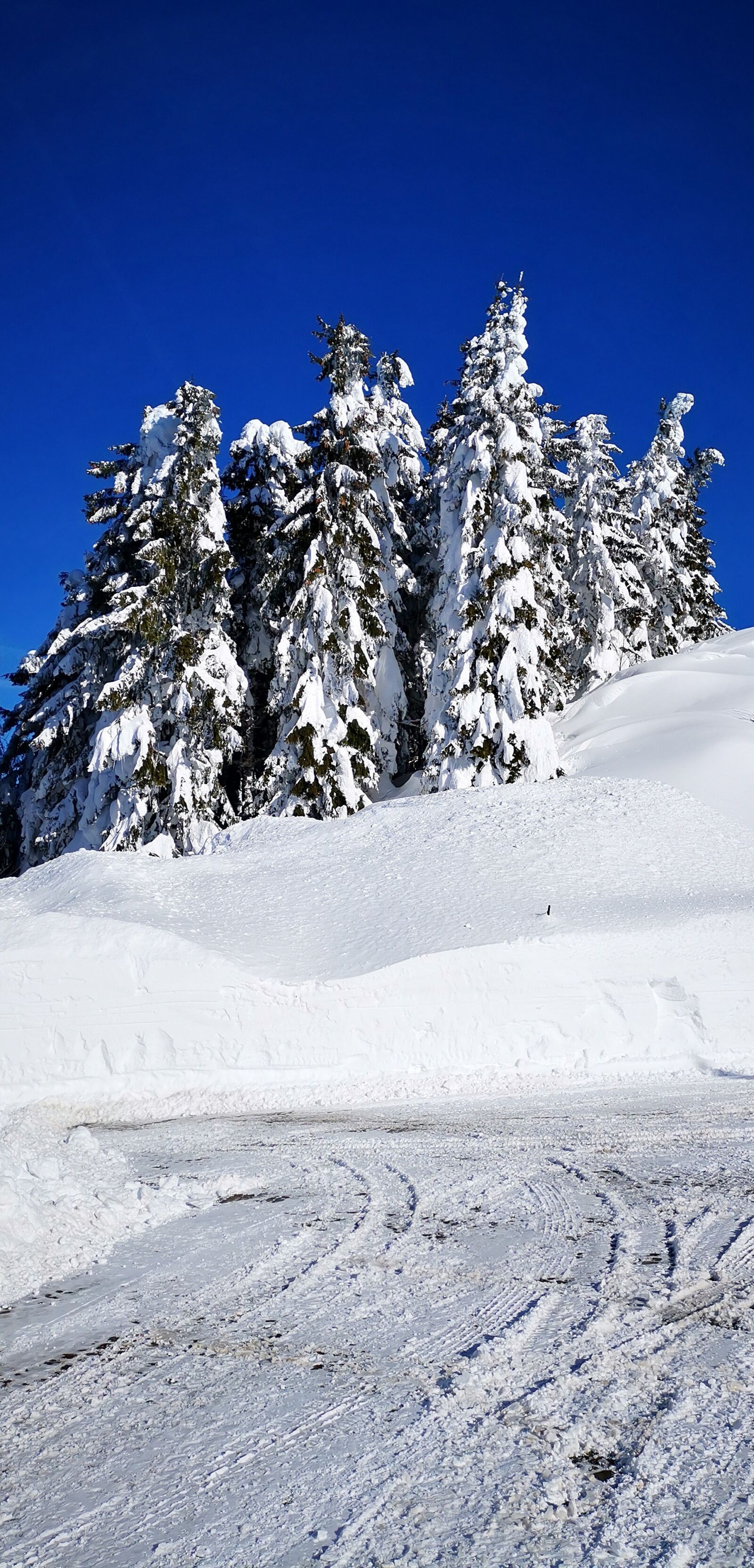 HUAWEI HMA-L29 sample photo. Berchtesgaden, rosfeld panoramic road photography
