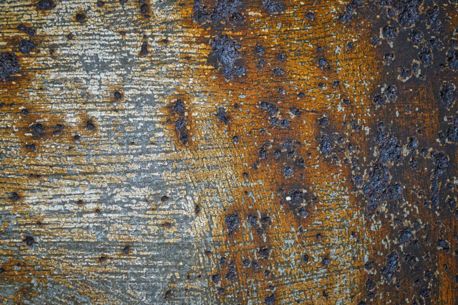 Nikon D3200 sample photo. Texture, metal, painting photography
