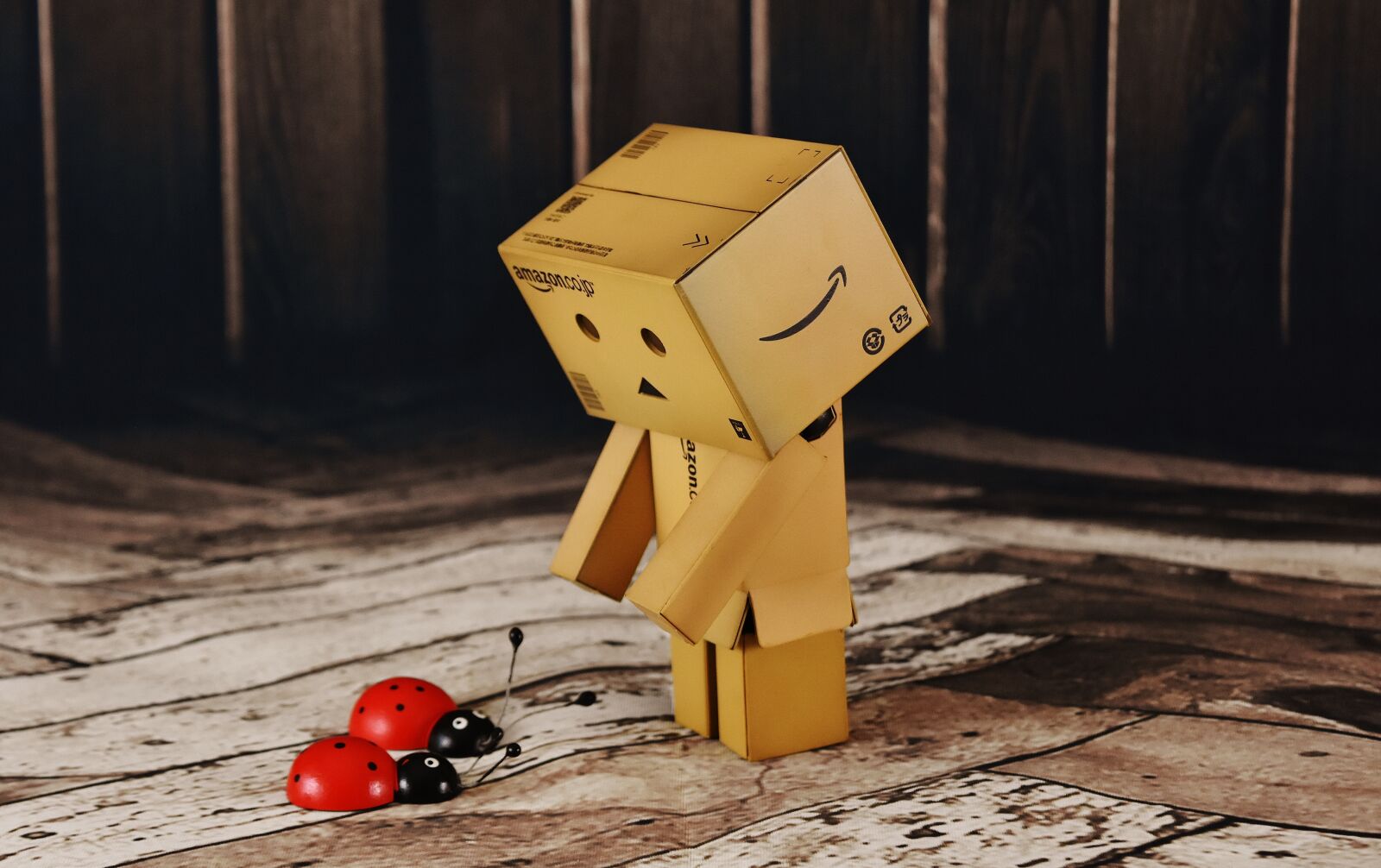 Nikon D7200 sample photo. Danbo, good luck, lucky photography