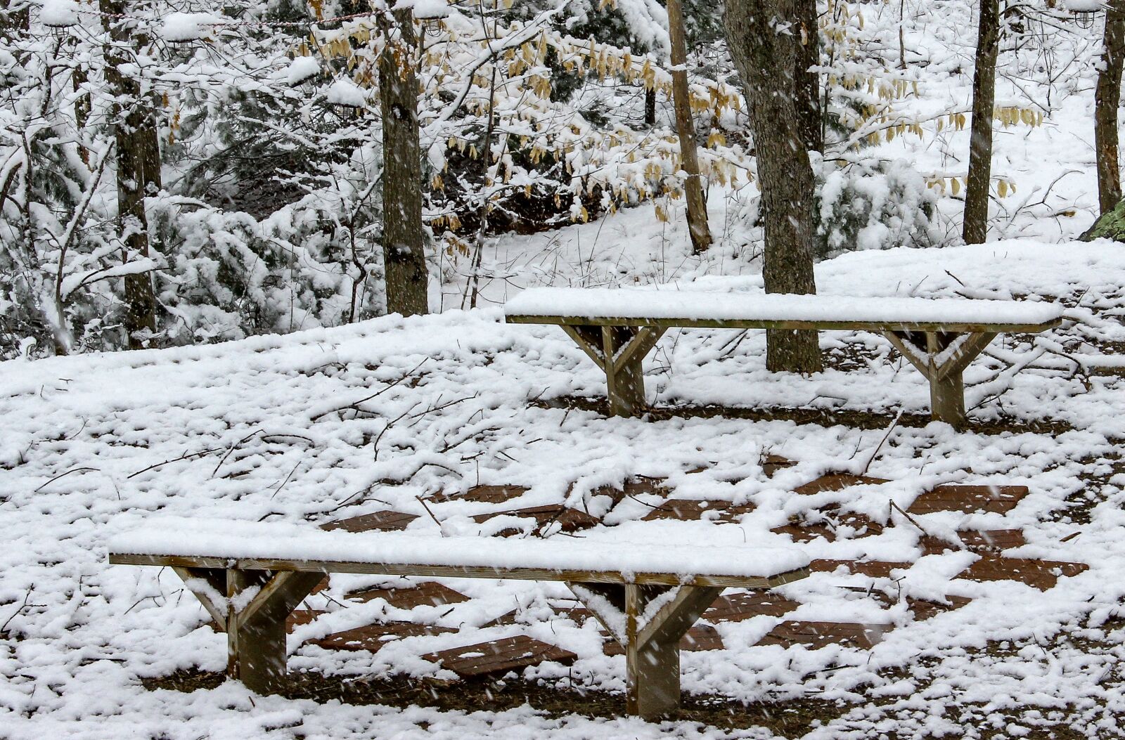 Canon EOS 600D (Rebel EOS T3i / EOS Kiss X5) sample photo. Snow, winter, wood photography