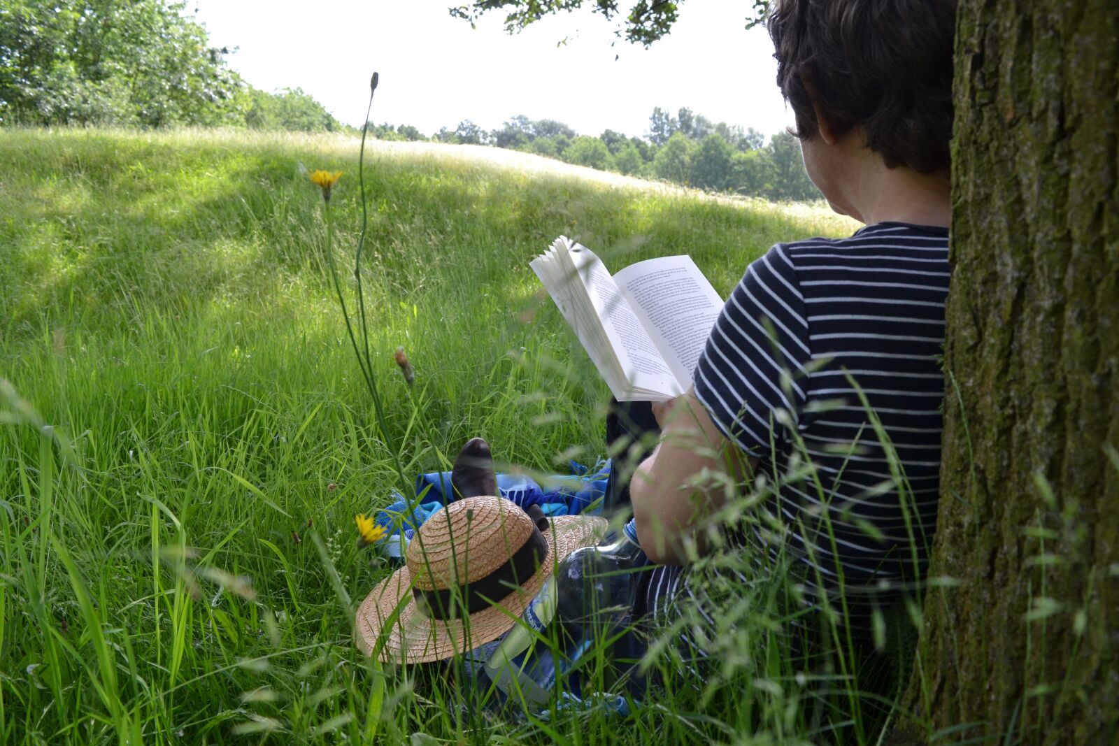 Nikon D3100 sample photo. Book reading, book, reading photography