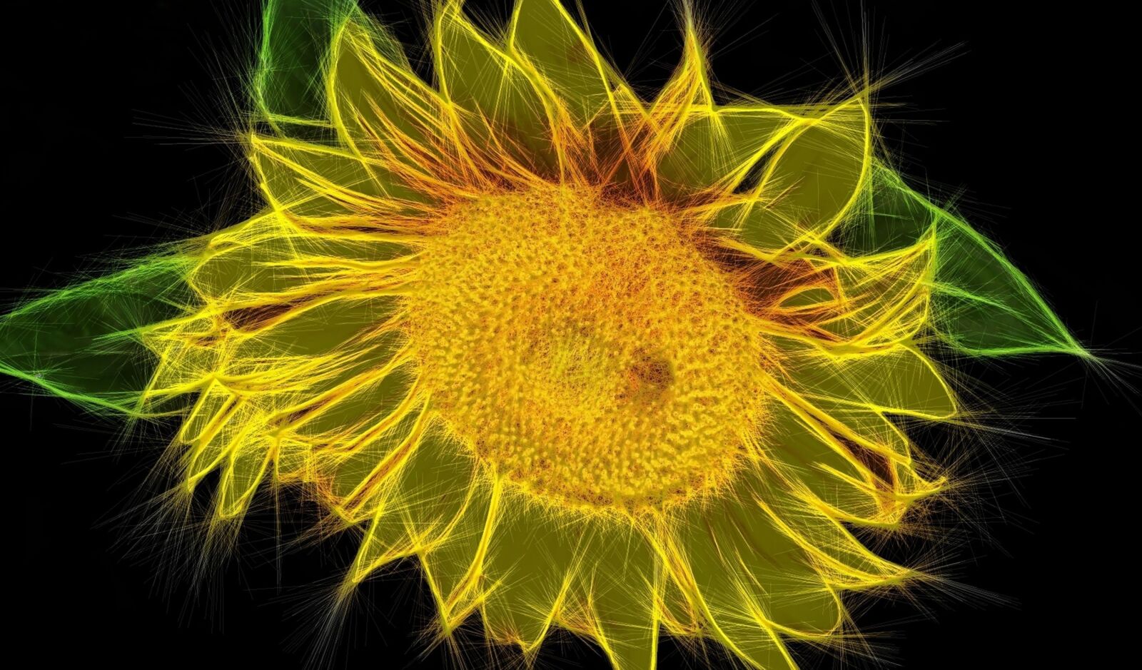 Olympus FE46,X41,X42 sample photo. Fractal, flower, fantasy photography
