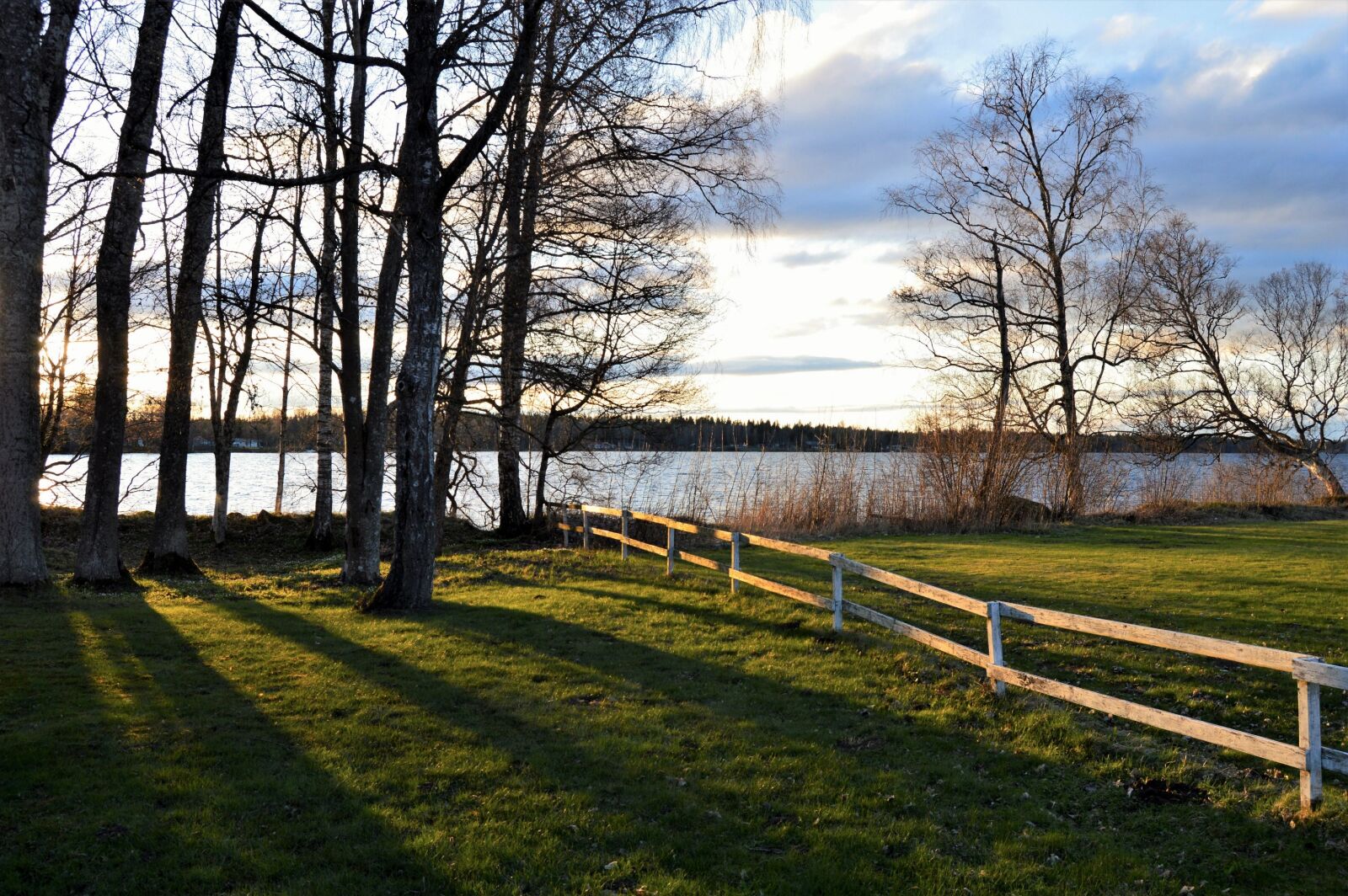 Nikon D3200 sample photo. Blue, clouds, fence, forest photography
