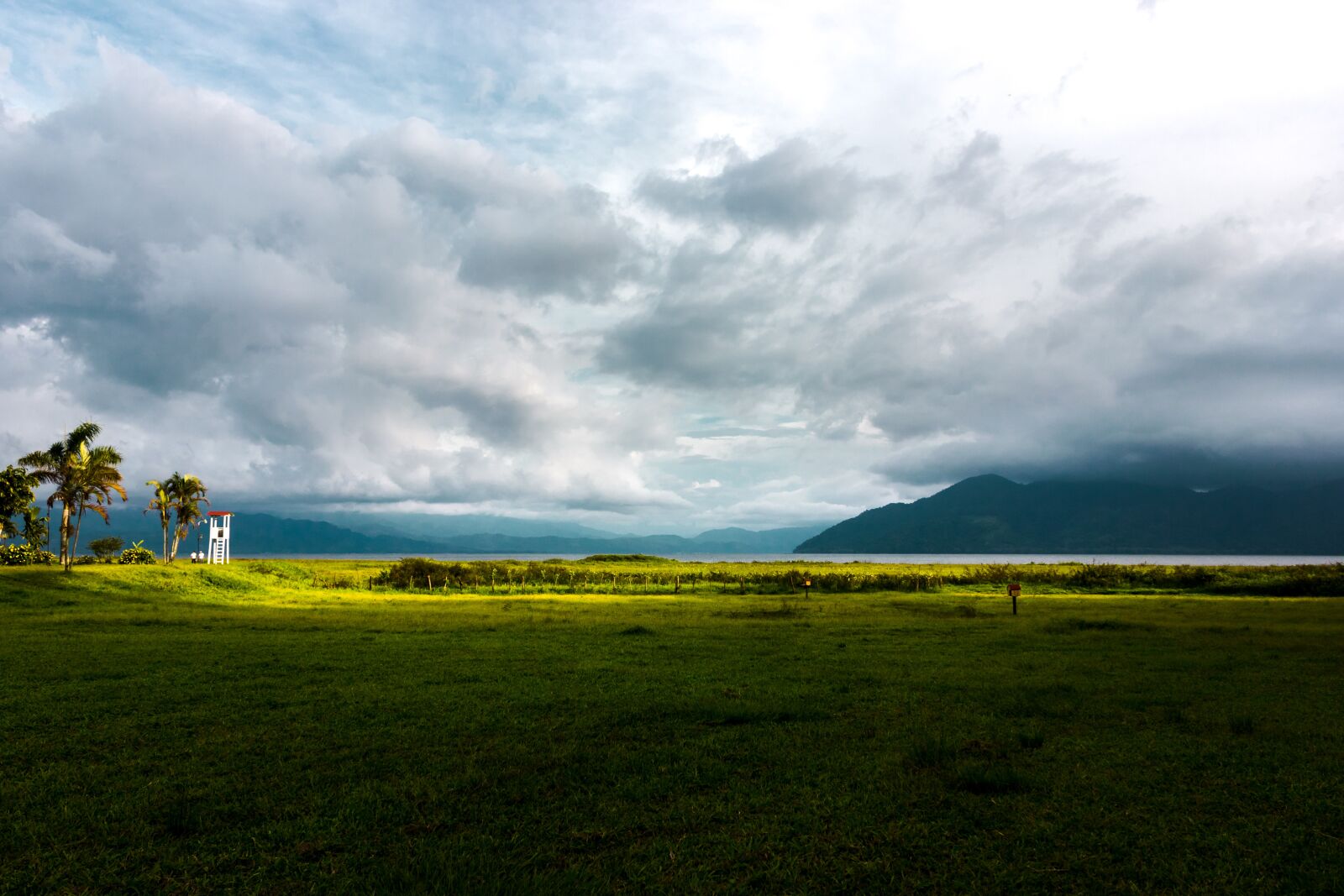 Canon EOS 550D (EOS Rebel T2i / EOS Kiss X4) sample photo. Panoramic, grass, nature photography