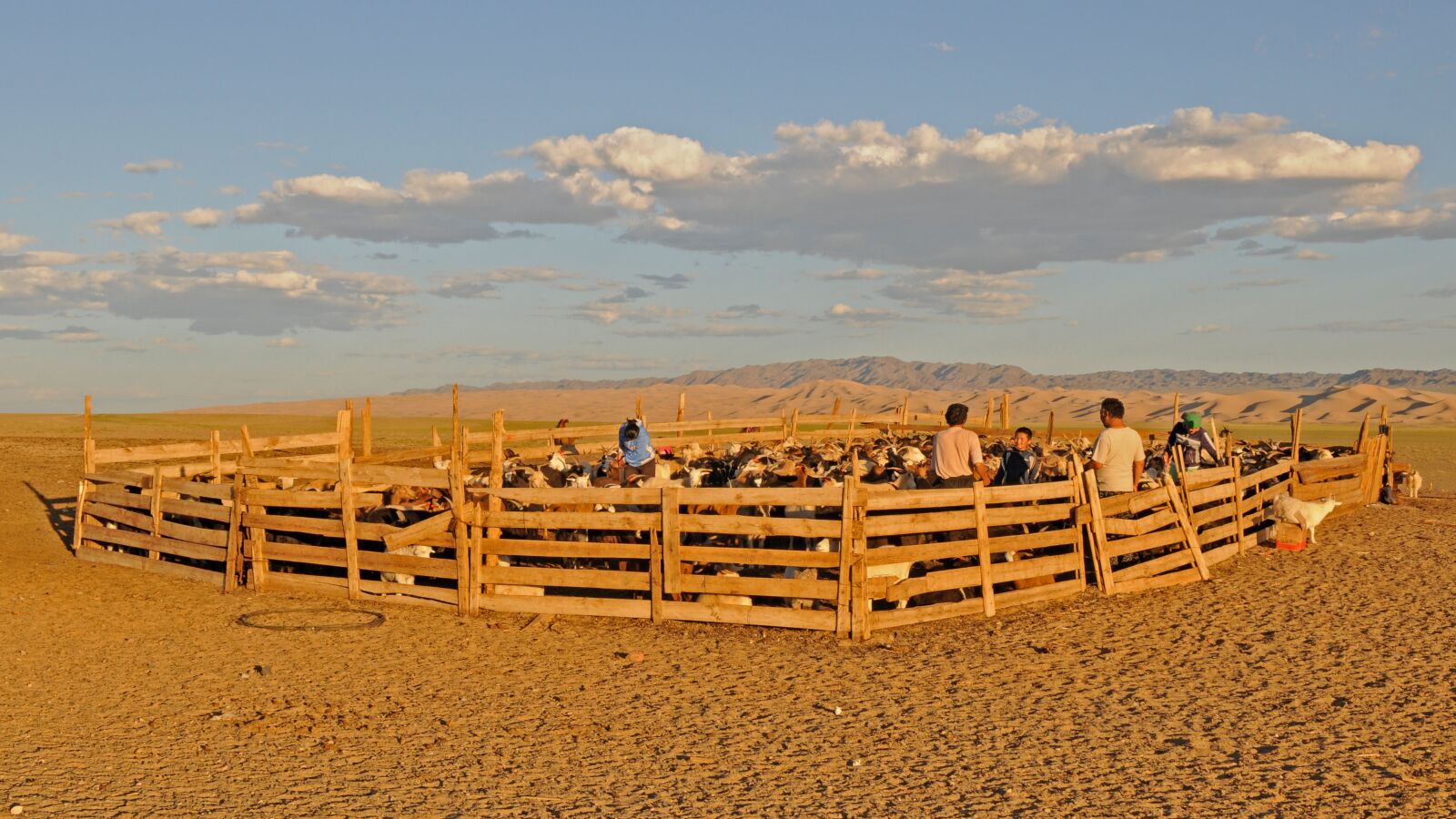 Nikon D300 sample photo. Mongolia, gobi, desert photography