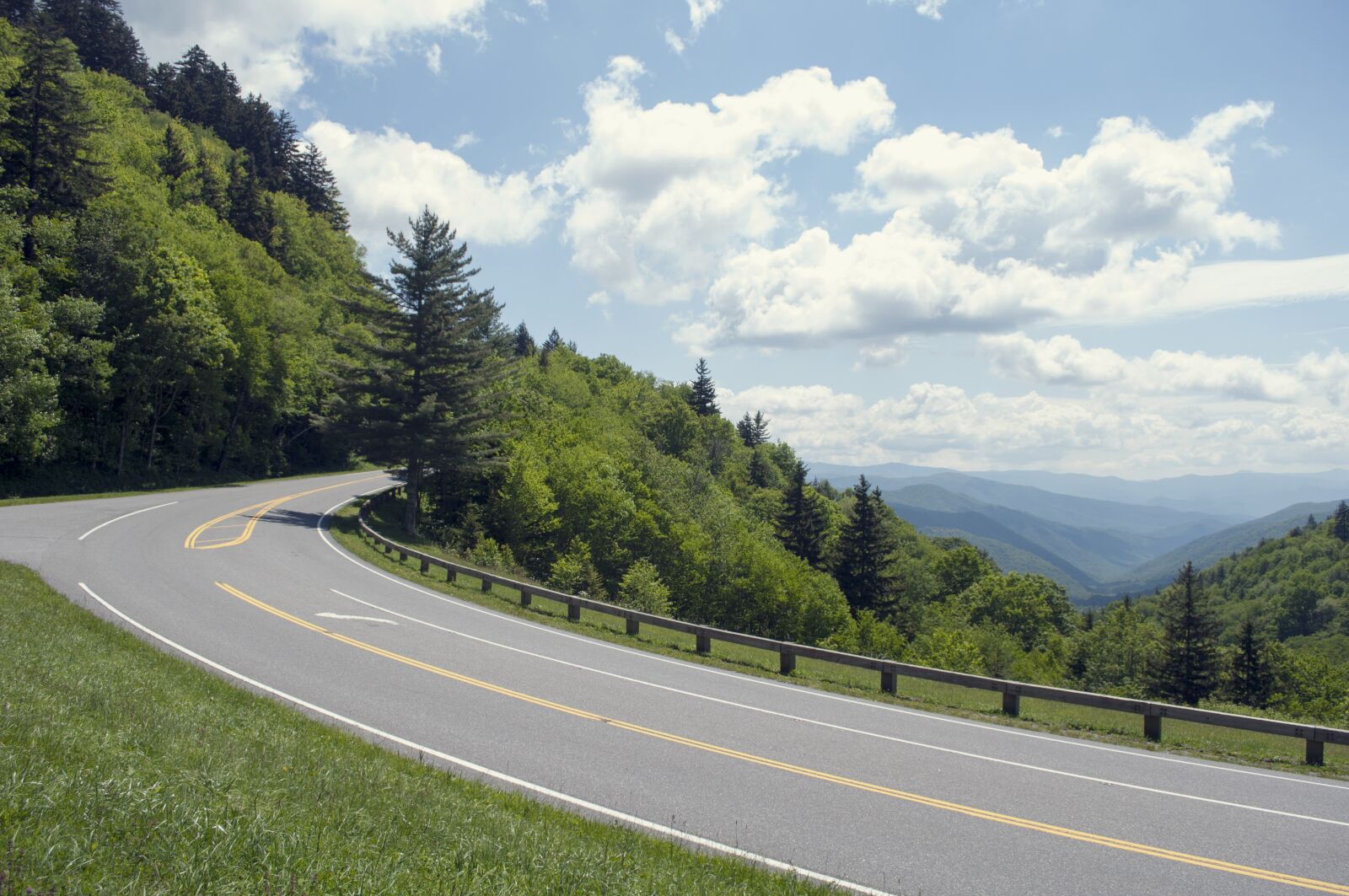 Nikon D90 sample photo. Road, nature, tree photography