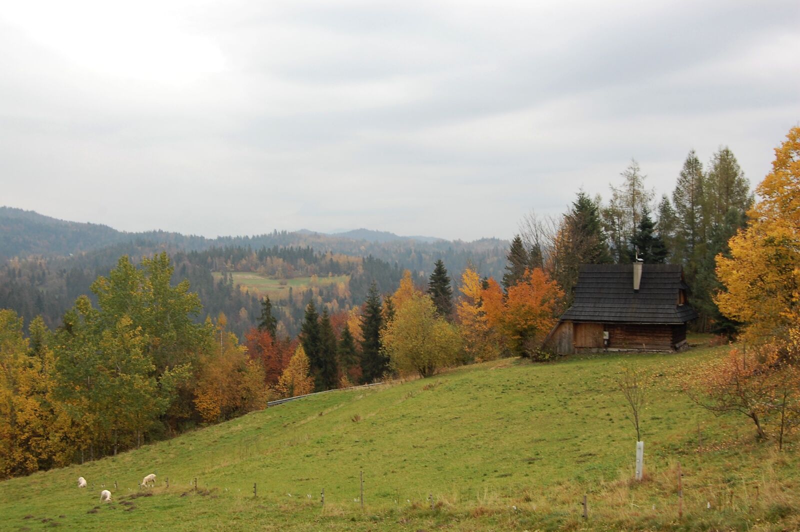 Nikon D40 sample photo. Autumn, landscape, twilight photography