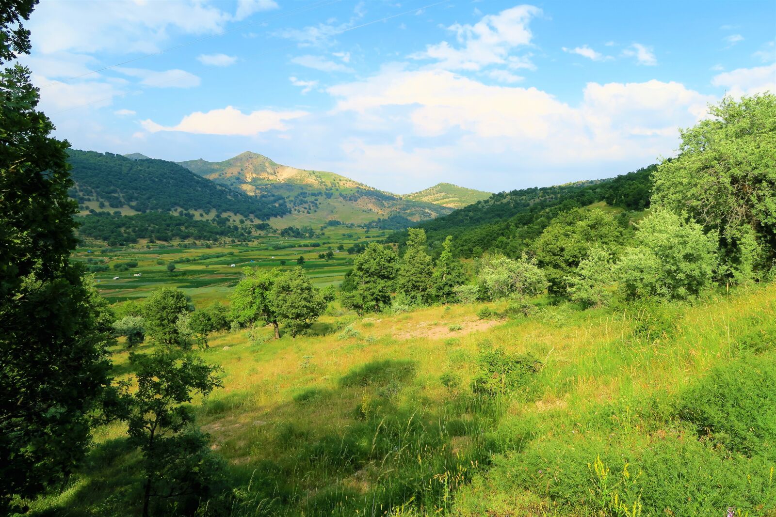 Canon PowerShot G7 X sample photo. Landscape, green, spring photography