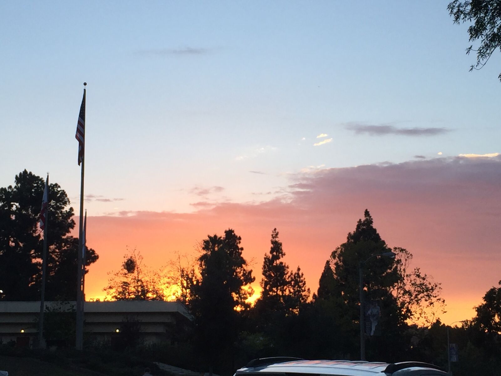 Apple iPhone 6 sample photo. Contrast, sky, sunset, tree photography