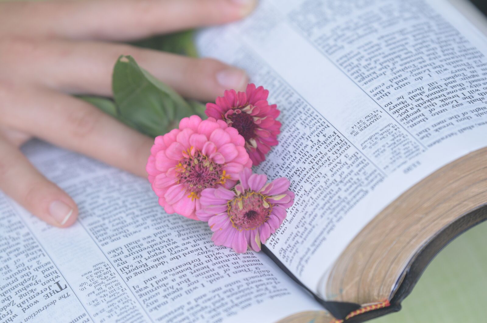 Nikon D3200 sample photo. Bible, flowers, hand photography