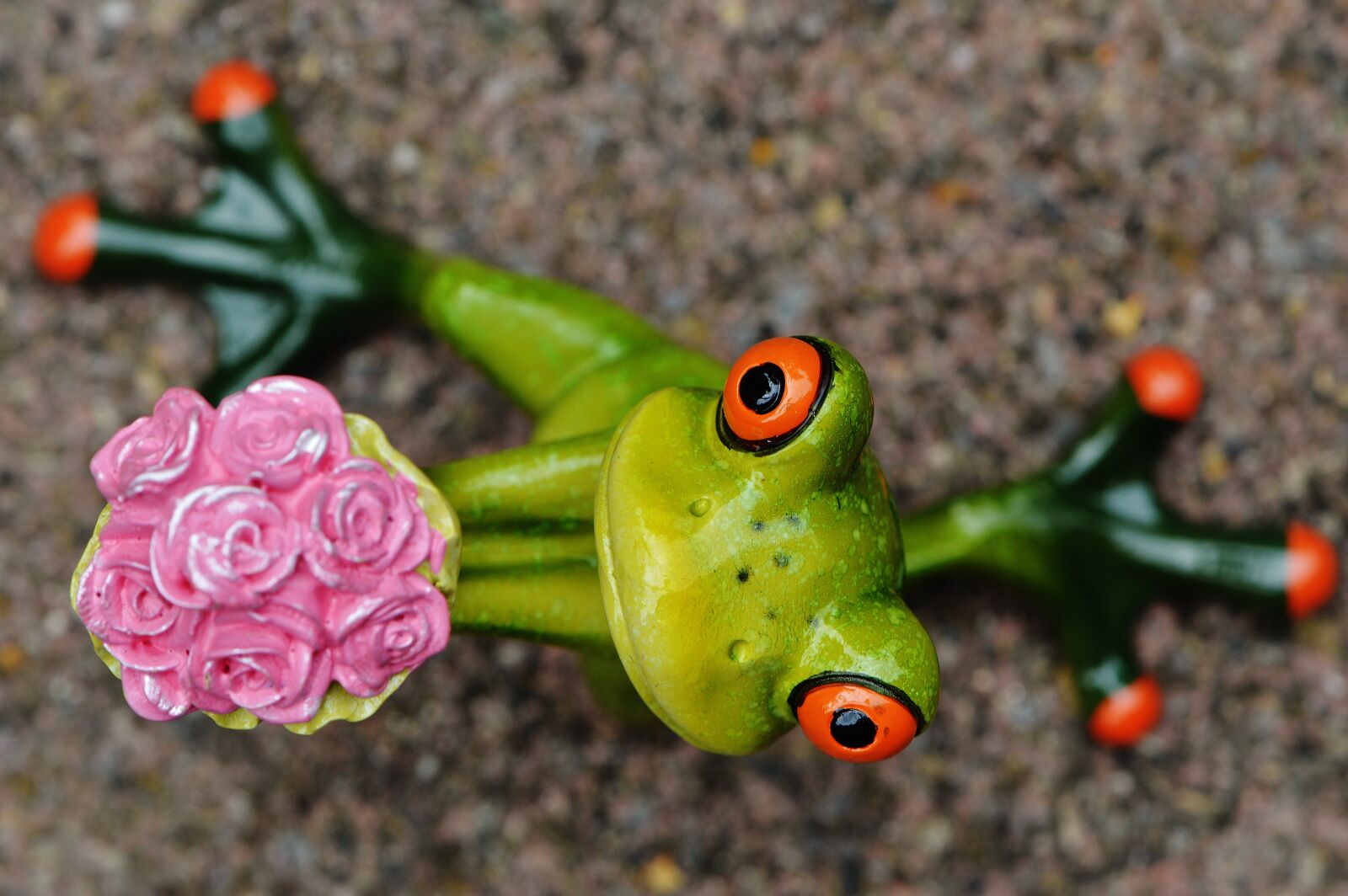Nikon D3200 sample photo. I beg your pardon photography