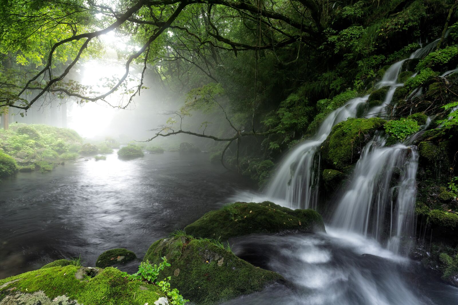 Sony a7R IV sample photo. Brook, spring, cascade photography