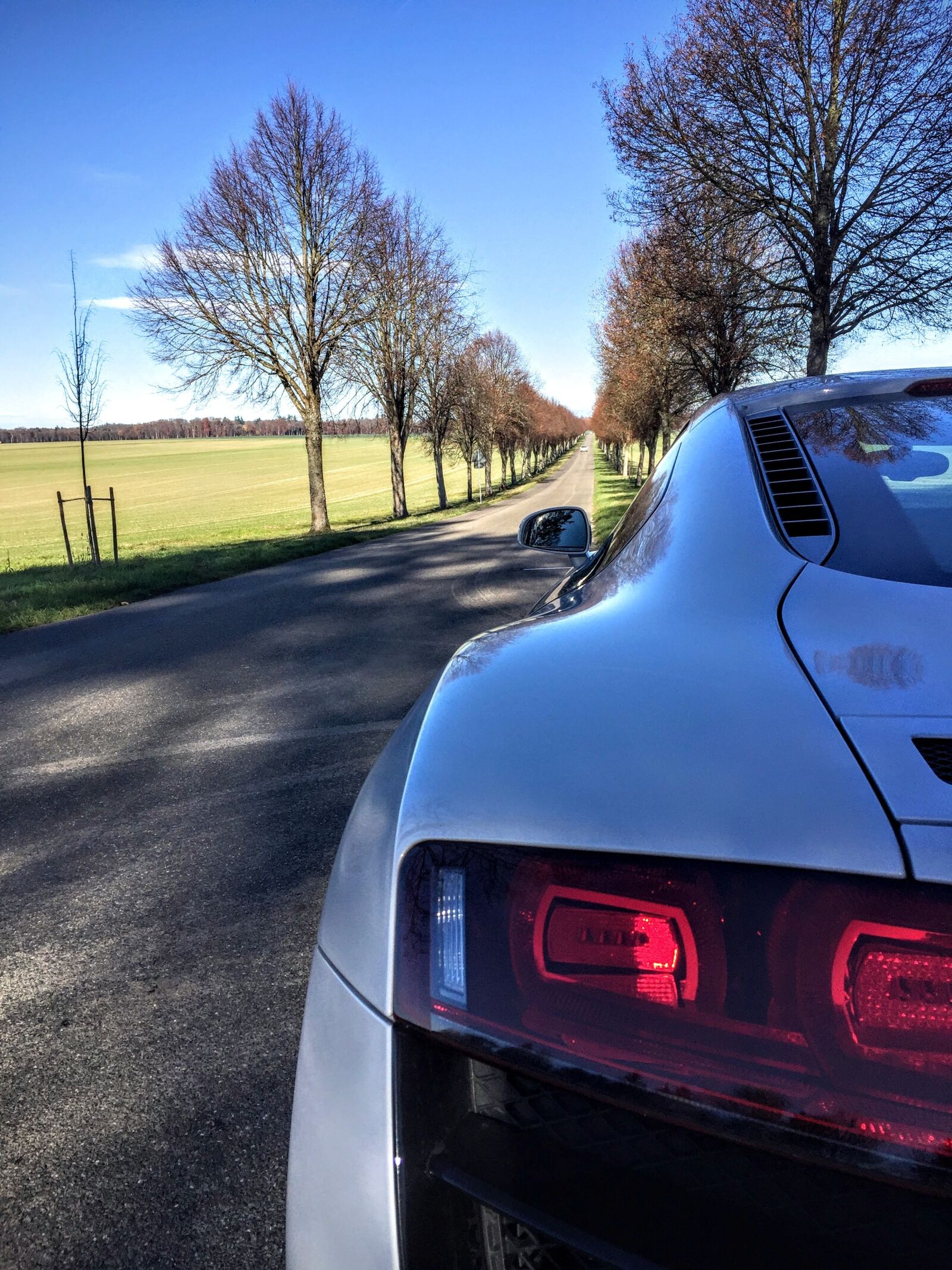 Apple iPhone 6 sample photo. Audi, r8, v10 photography