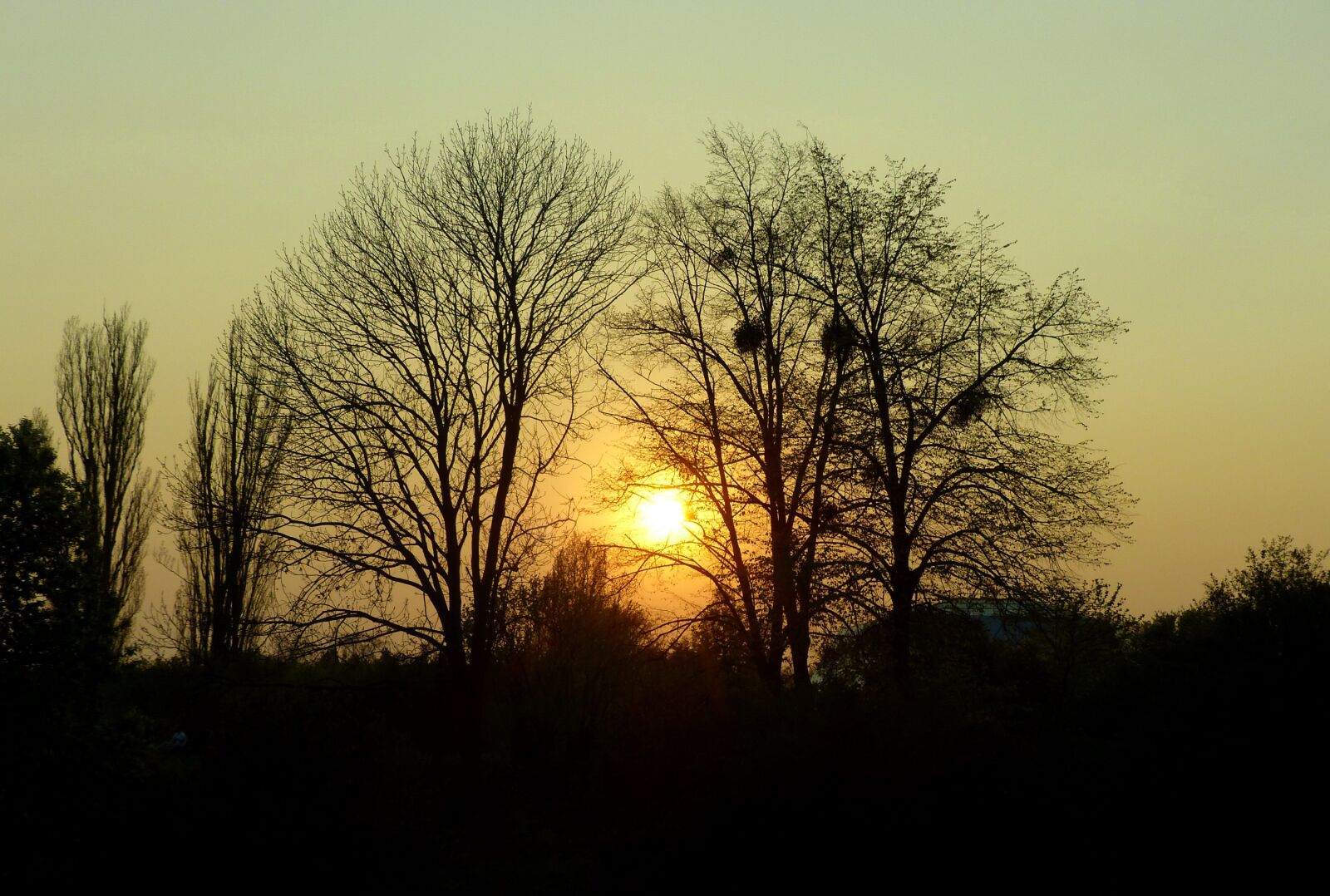 Panasonic Lumix DMC-FZ200 sample photo. Sunset, sky, sun photography