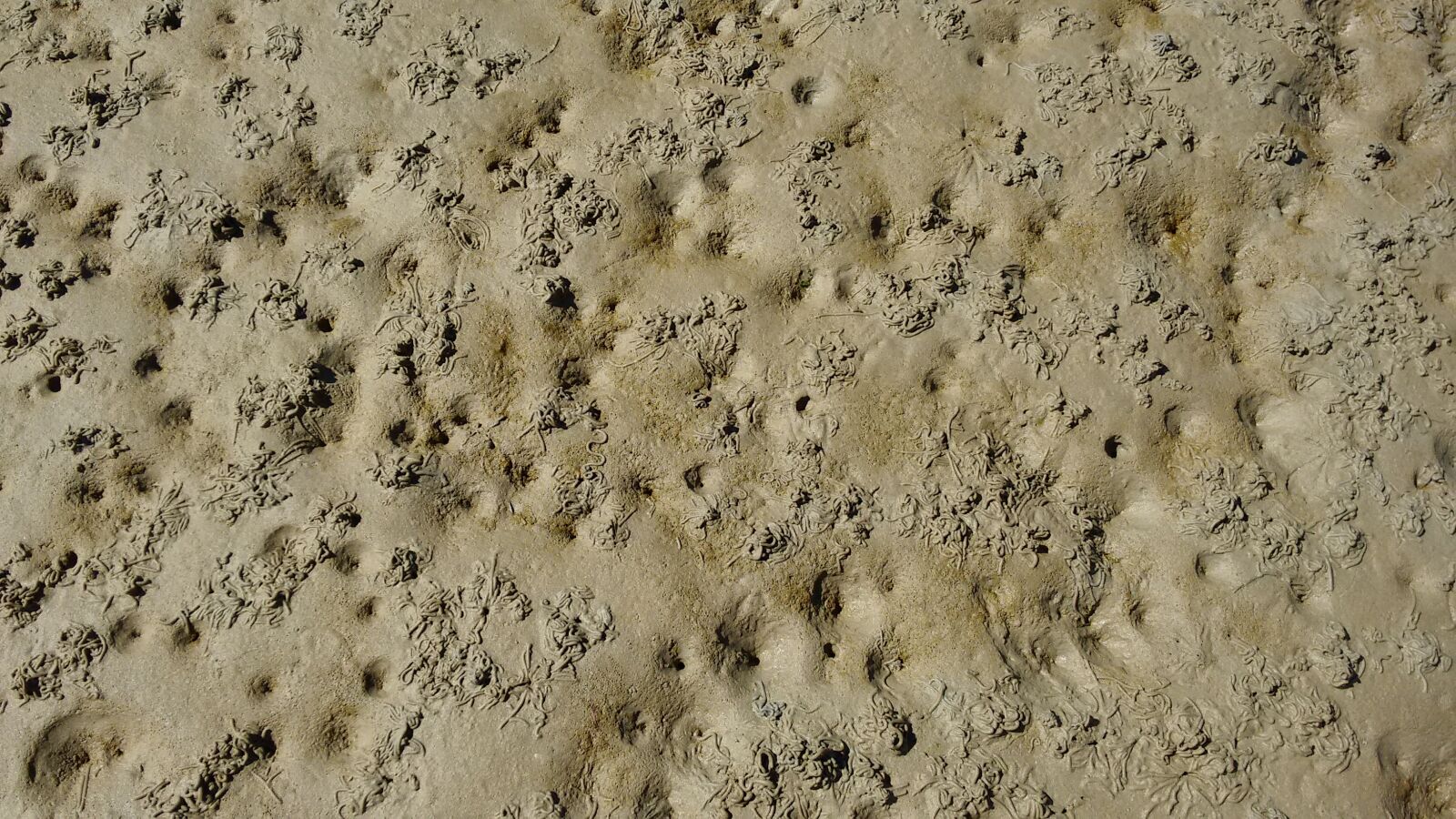 Motorola Moto G (2nd Gen) sample photo. Sand, sandworms, lugworm photography