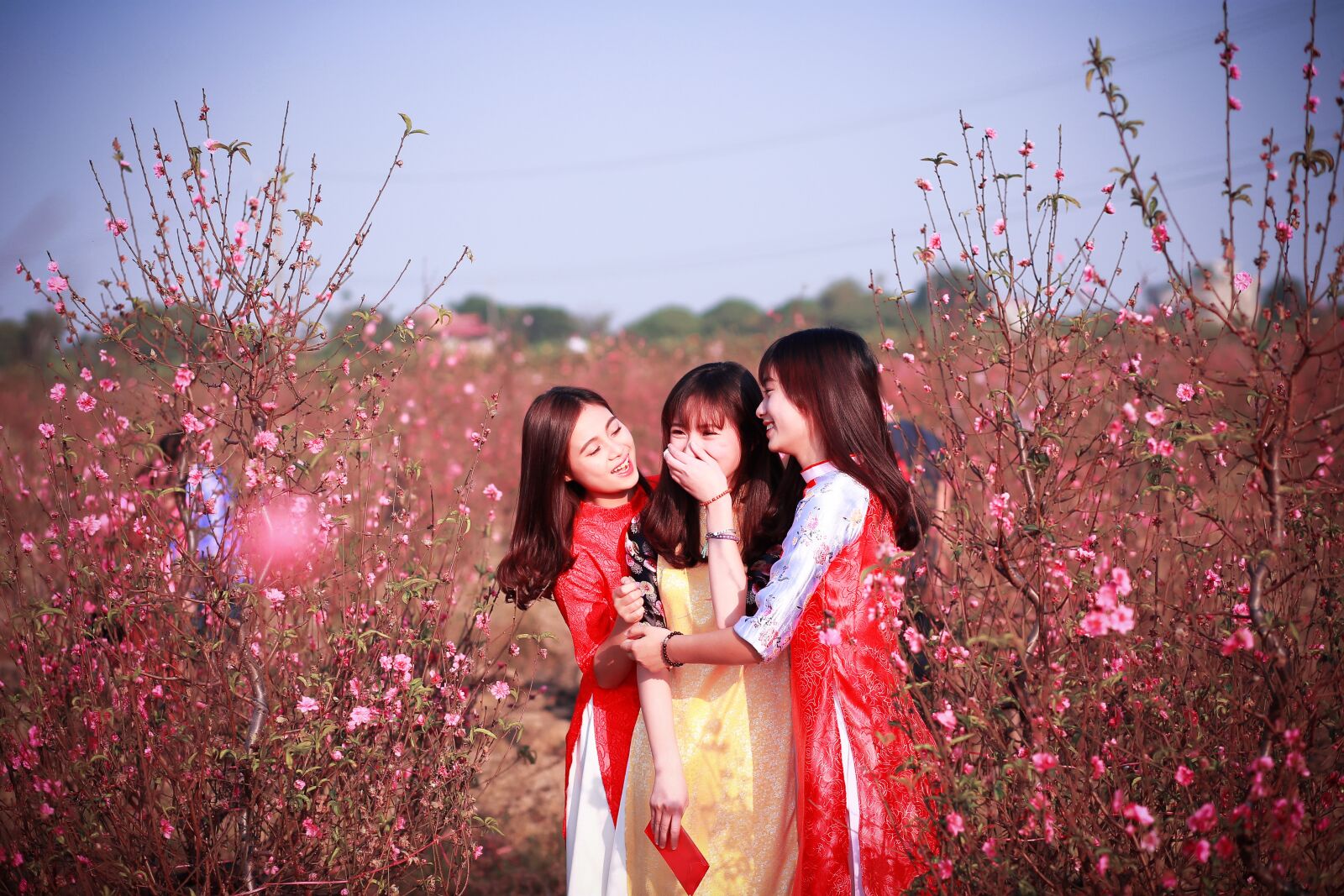 Canon EF 85mm F1.8 USM sample photo. Nature, outdoors, summer photography