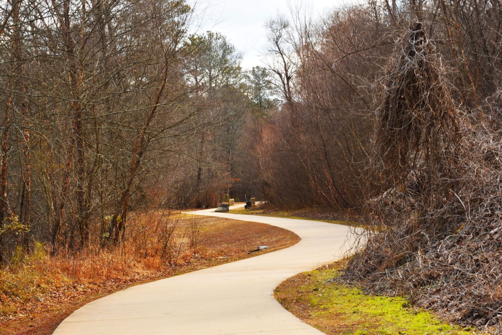 Nikon D3300 sample photo. Ropemill park, walking trail photography