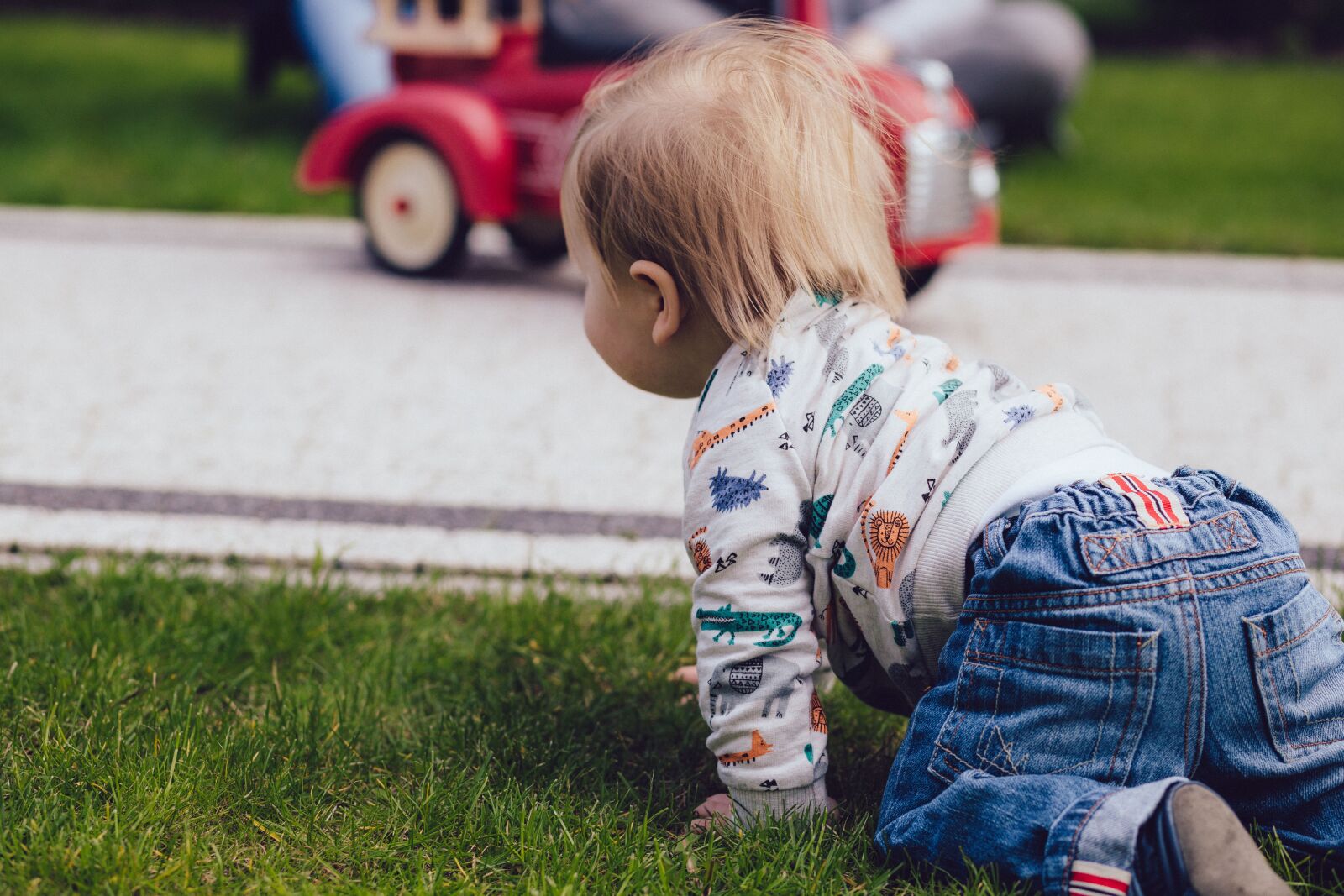 Canon EF 85mm F1.8 USM sample photo. Green, grass, playground photography