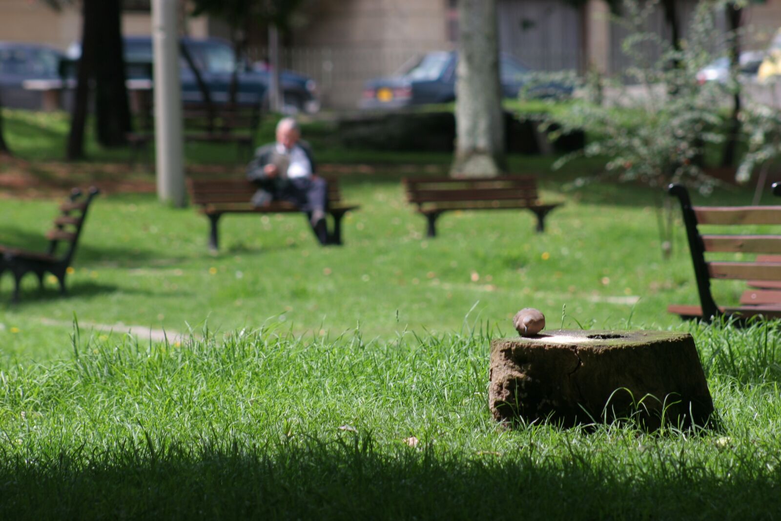 Canon EOS 20D sample photo. Park, loneliness, abandonment photography