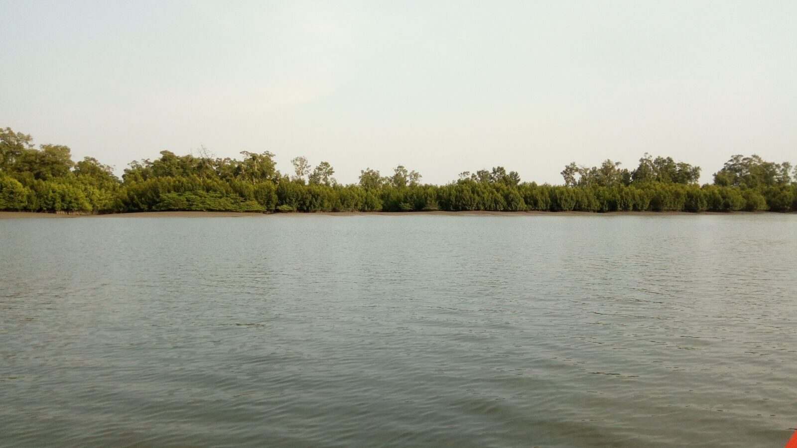 TECNO W5 sample photo. Nature, sea, guinea photography