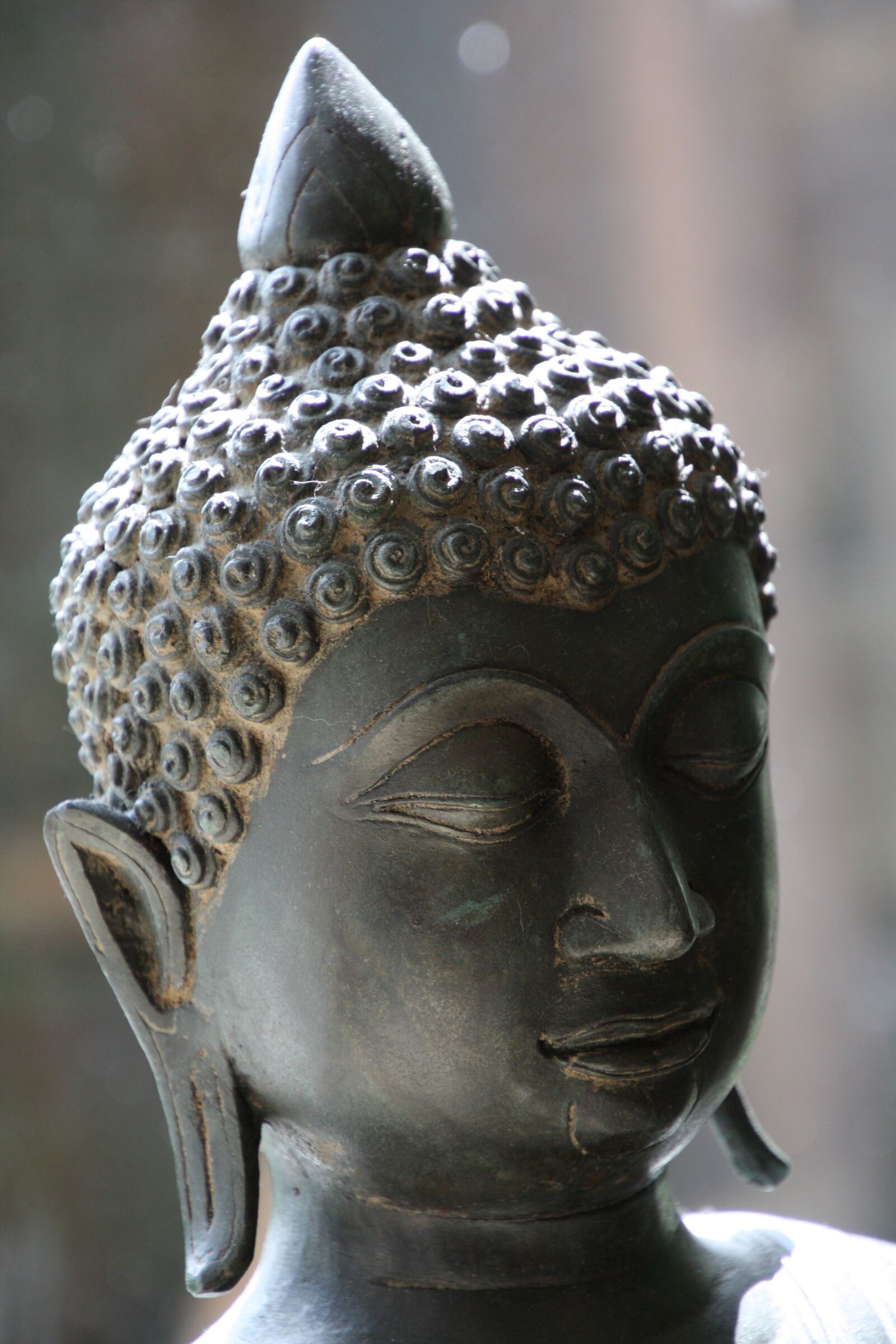 Canon EOS 450D (EOS Rebel XSi / EOS Kiss X2) sample photo. Buddha, face, image photography