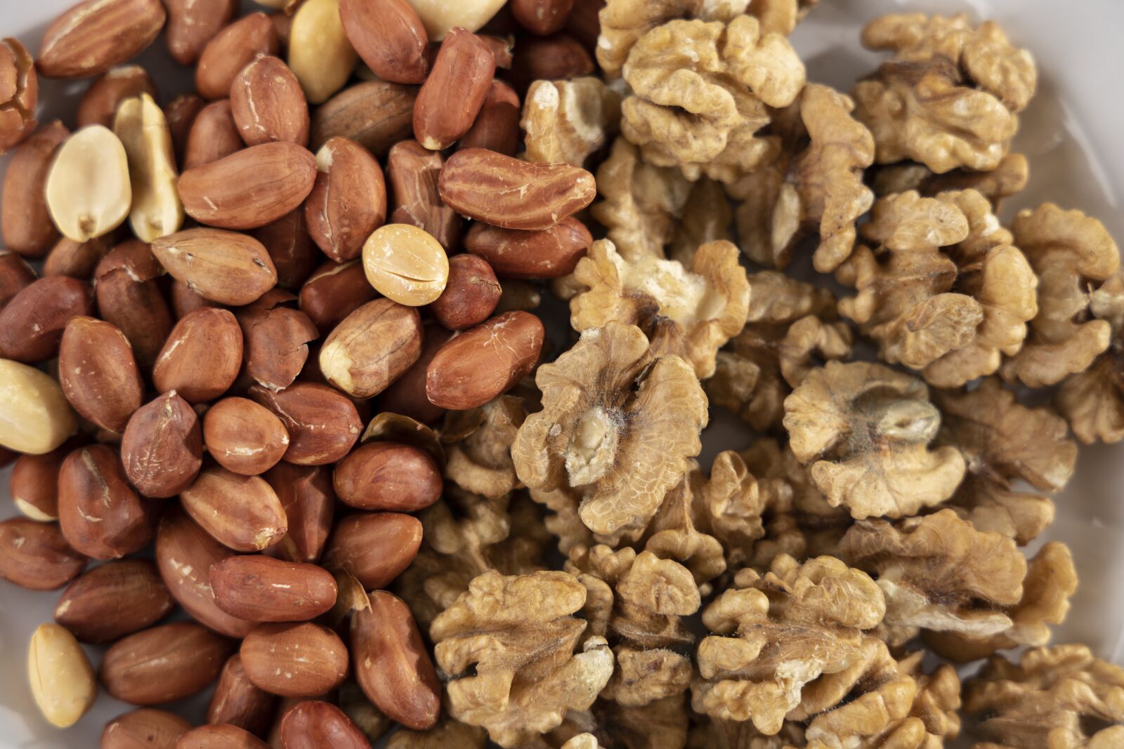 Canon EOS R sample photo. Peanut, walnut, dried fruits photography