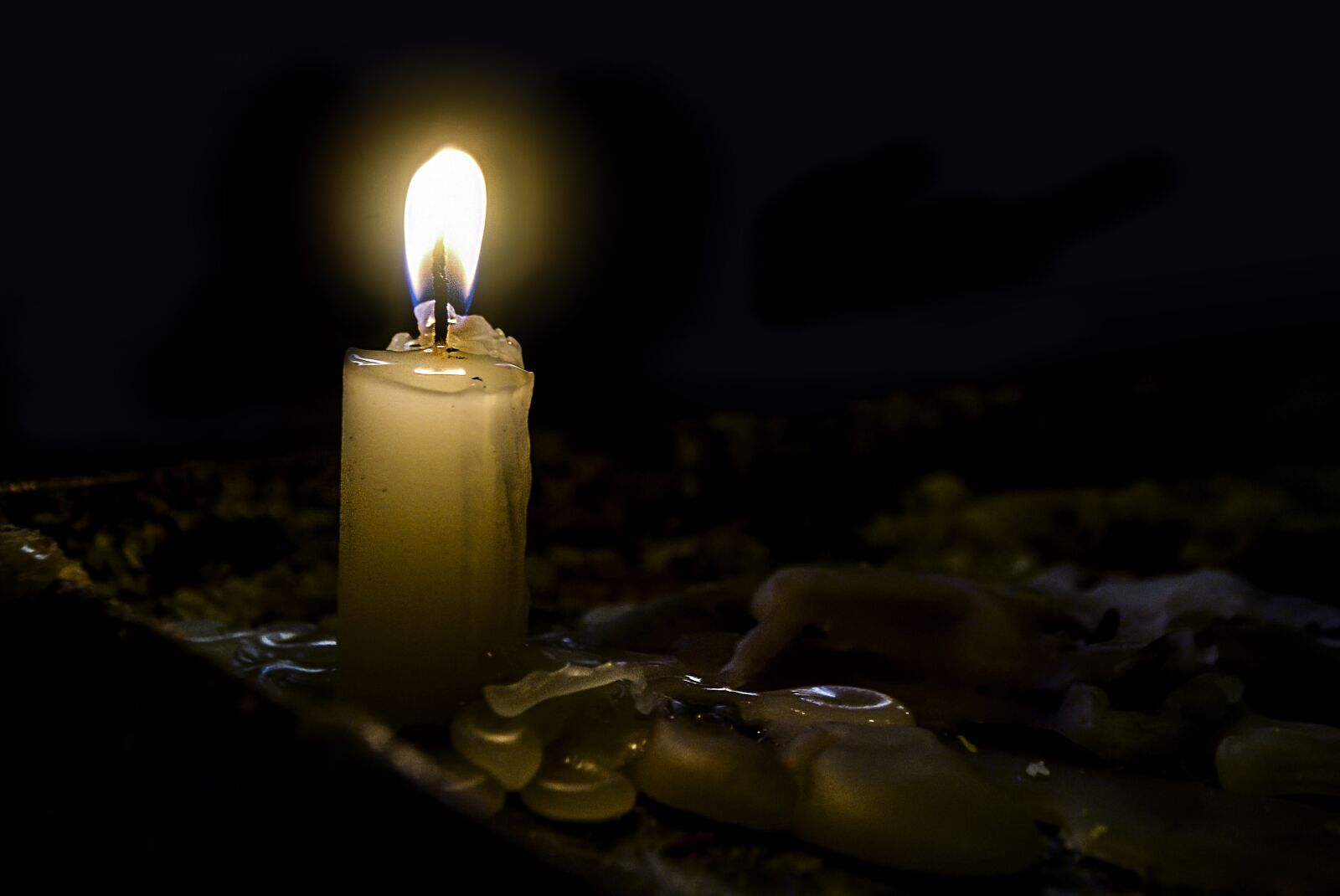 Nikon D3100 sample photo. Light of a candle photography