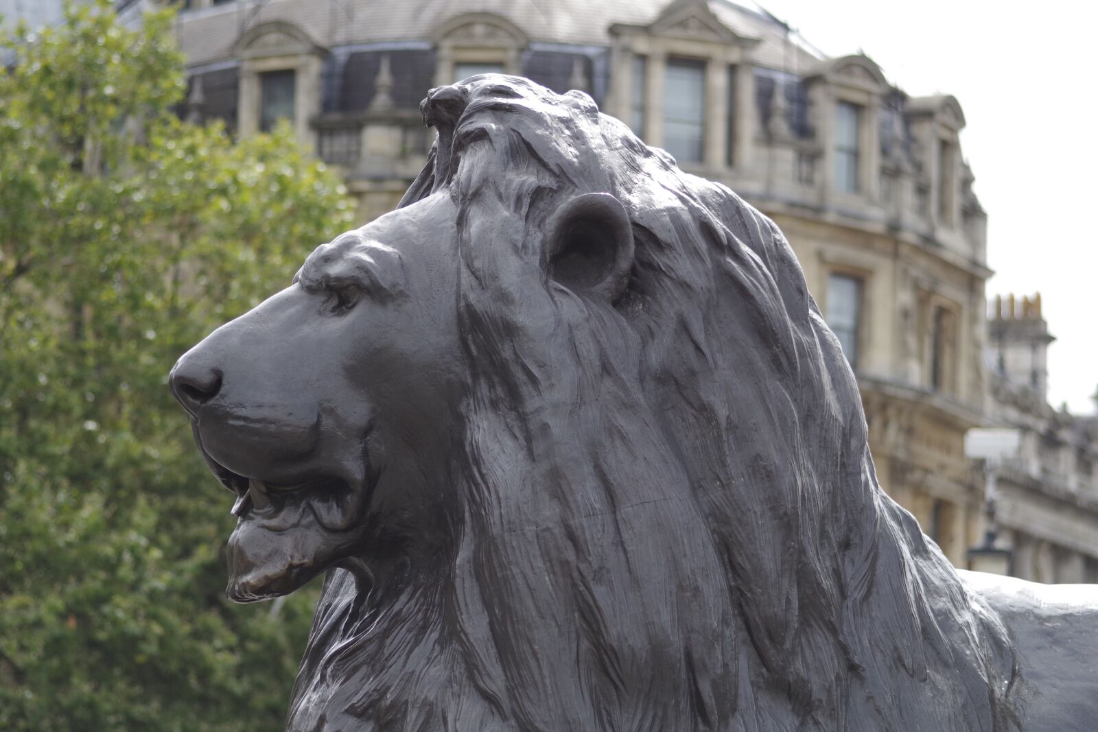 Pentax K-S1 sample photo. Trafalgar square, lion, statue photography