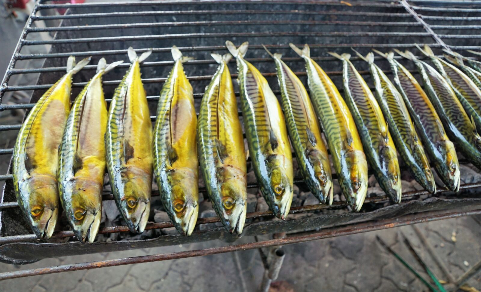 Sony ILCA-77M2 + Sony DT 16-50mm F2.8 SSM sample photo. Food, fish, nature photography