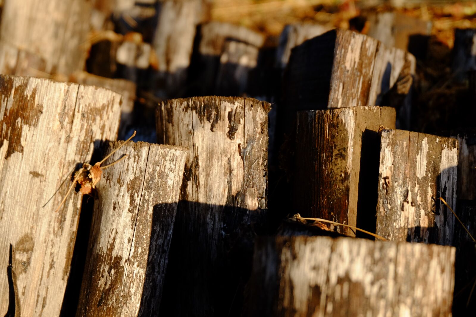 Fujifilm X-M1 sample photo. Wood, construction, rustico photography