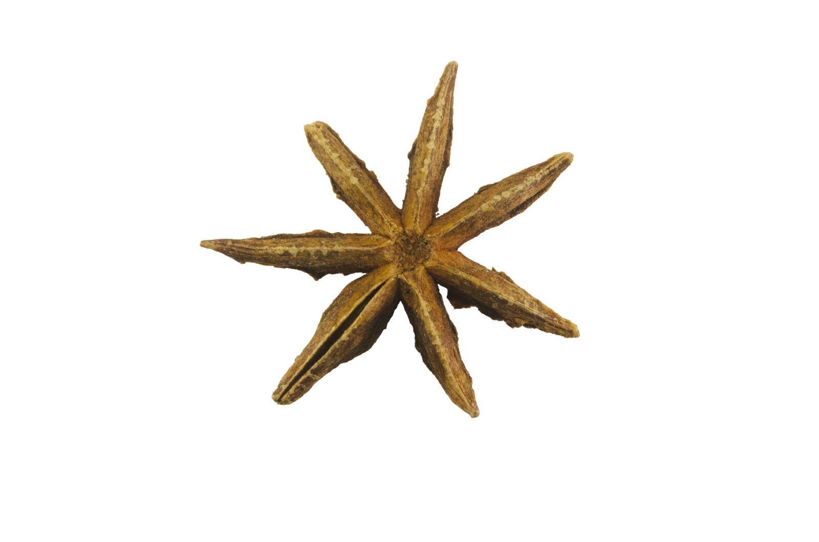 Nikon D7000 sample photo. Star anise, star, anise photography