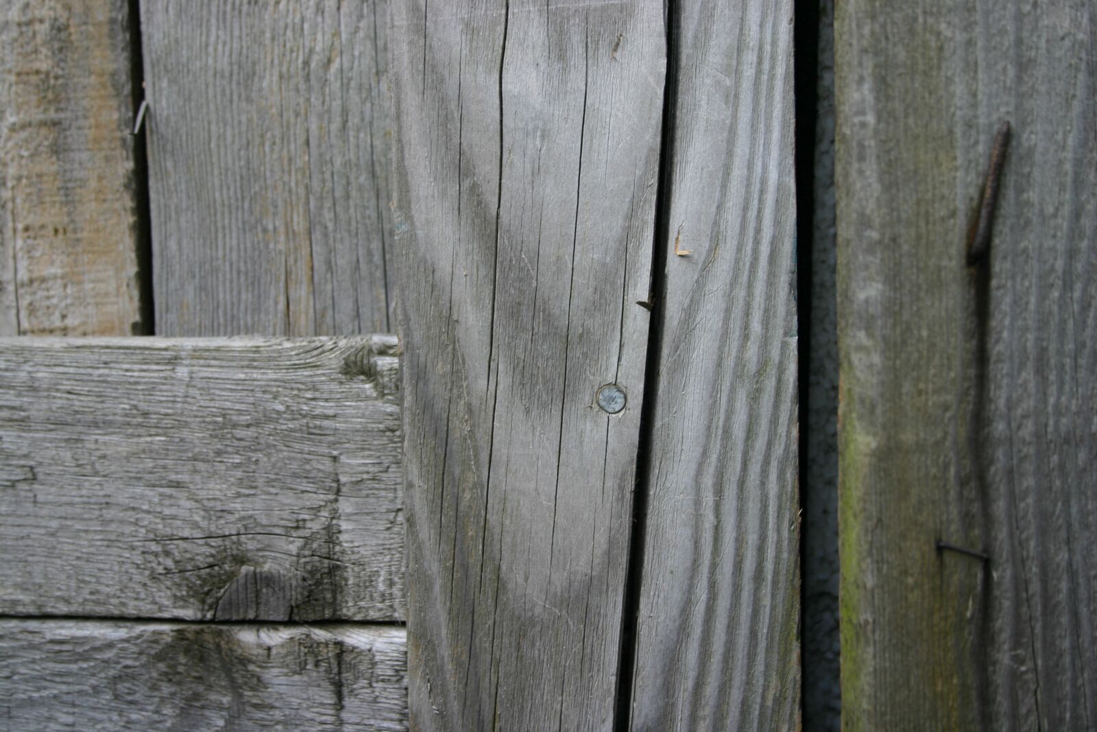 Canon EOS 300D (EOS Digital Rebel / EOS Kiss Digital) sample photo. Wood, old, texture photography