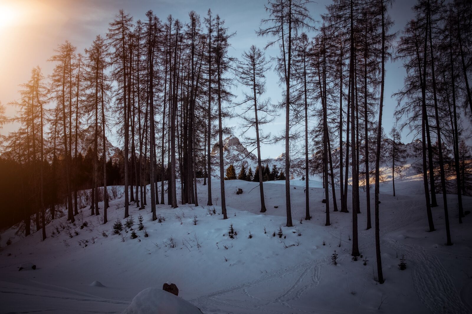 Nikon D7100 sample photo. Landscape, winter, snow photography