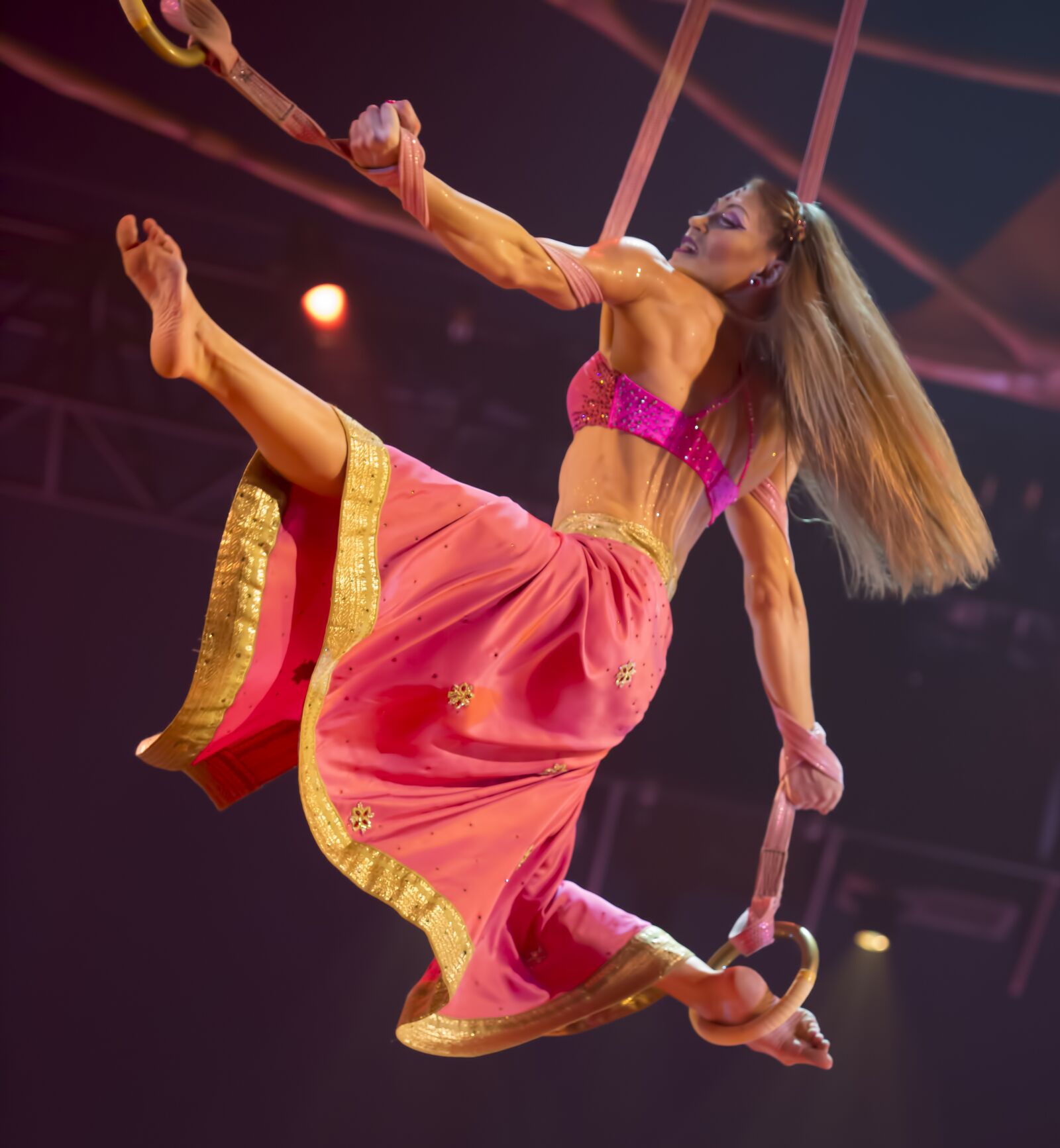 Nikon D800 sample photo. Circus, woman, trapeze photography