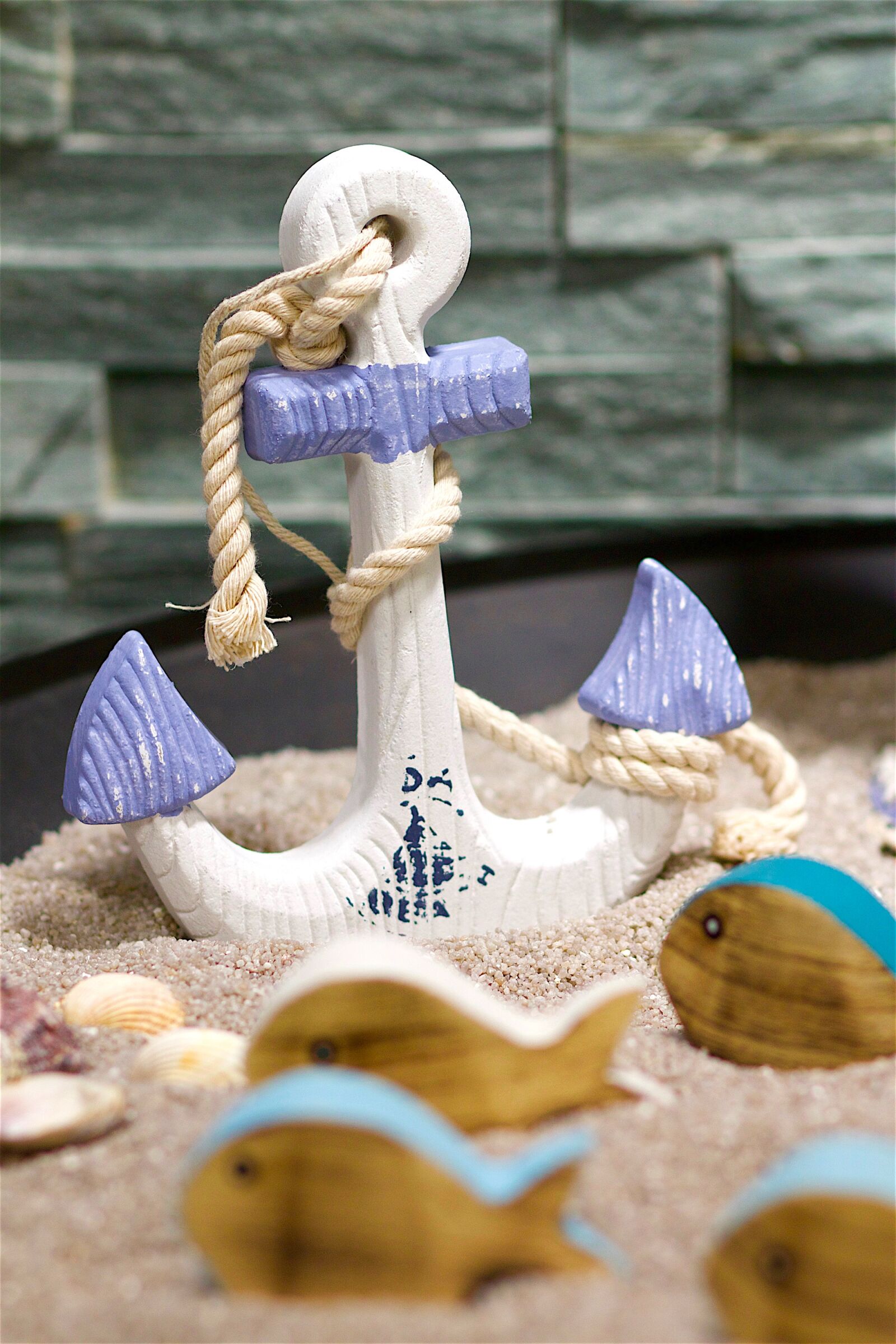 Canon EOS 70D + Canon EF 85mm F1.8 USM sample photo. Anchor, fish, sand photography