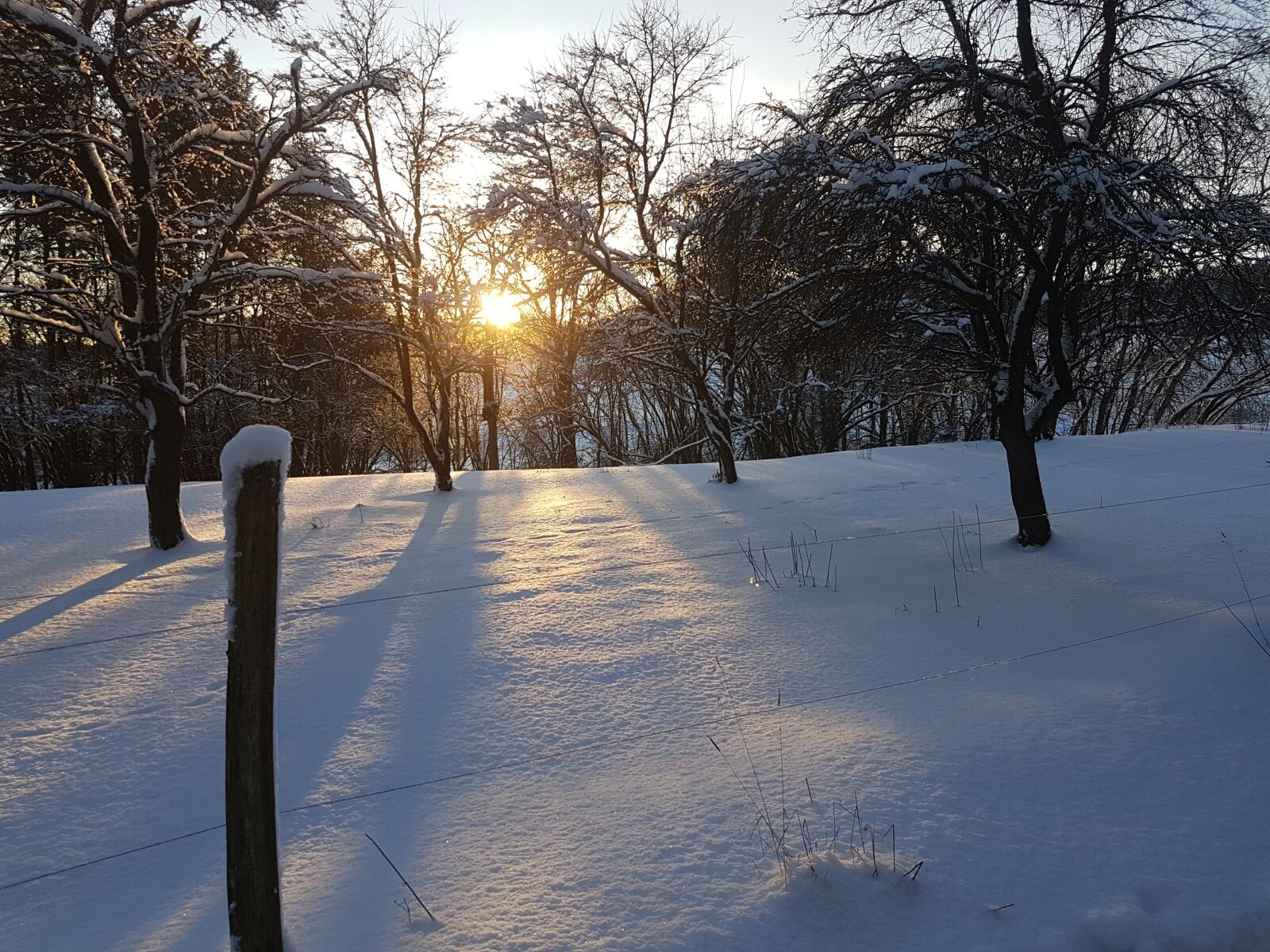 Samsung Galaxy S7 sample photo. Setting, sun, wintry photography