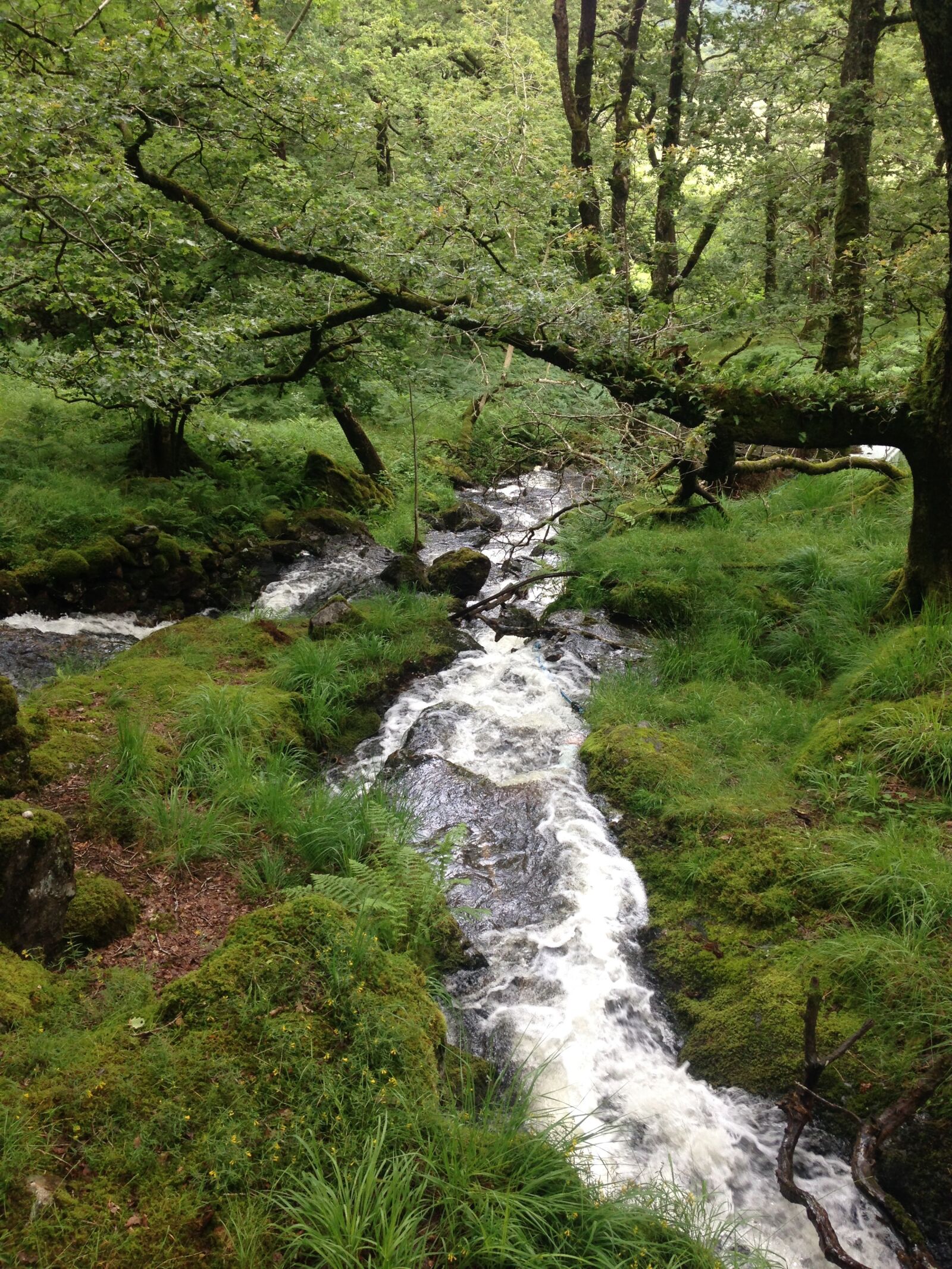 iPhone 5c back camera 4.12mm f/2.4 sample photo. Beautiful, rural, waterfall photography