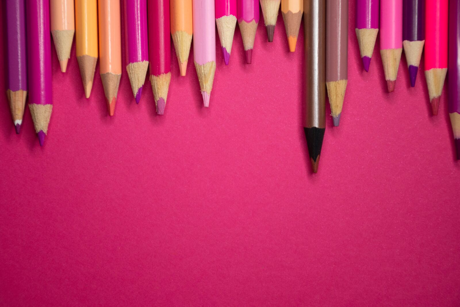 Nikon D7200 sample photo. School, art, education photography