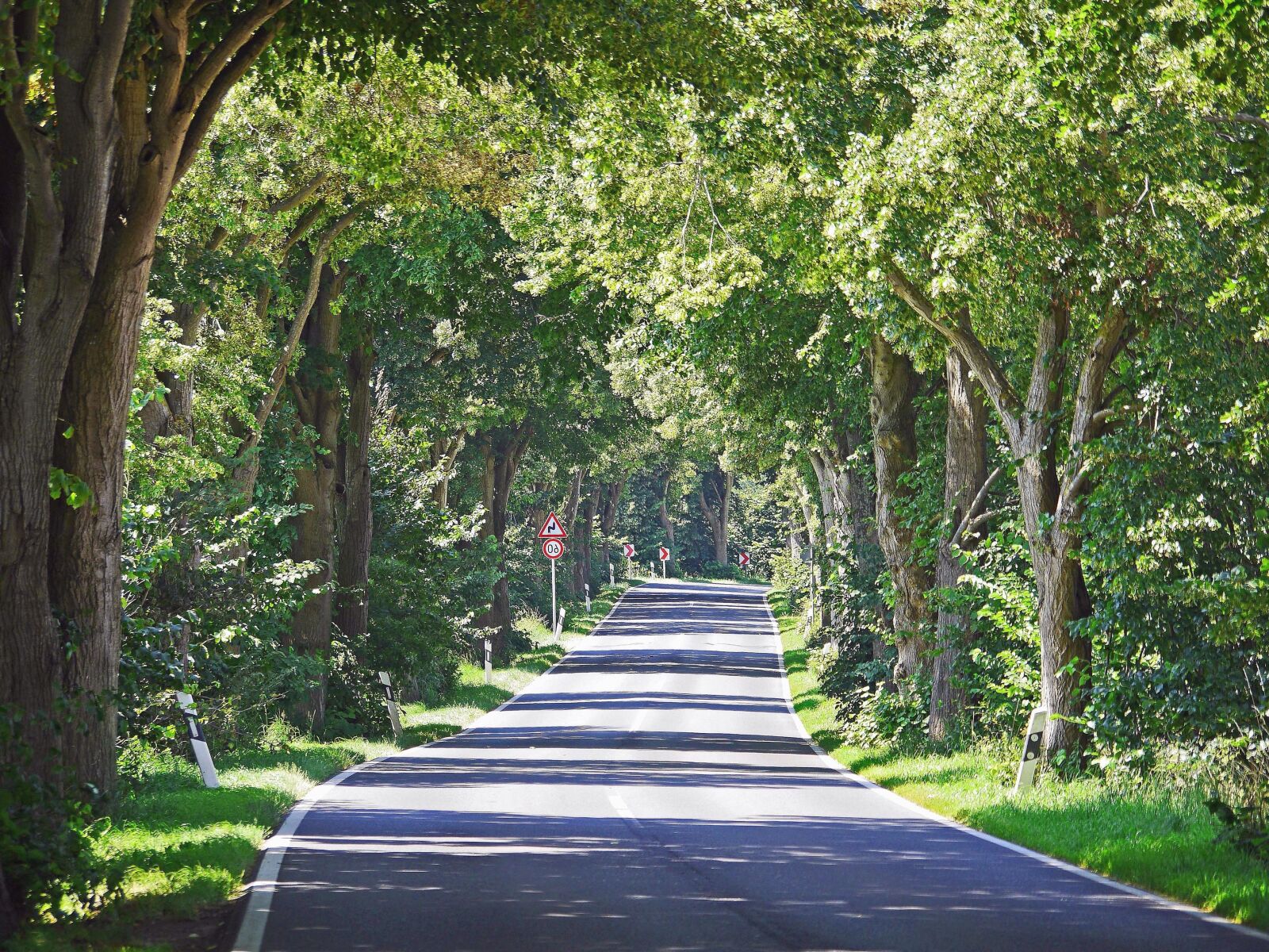 Panasonic Lumix DMC-GH3 sample photo. Road, landscape, grass, tree photography