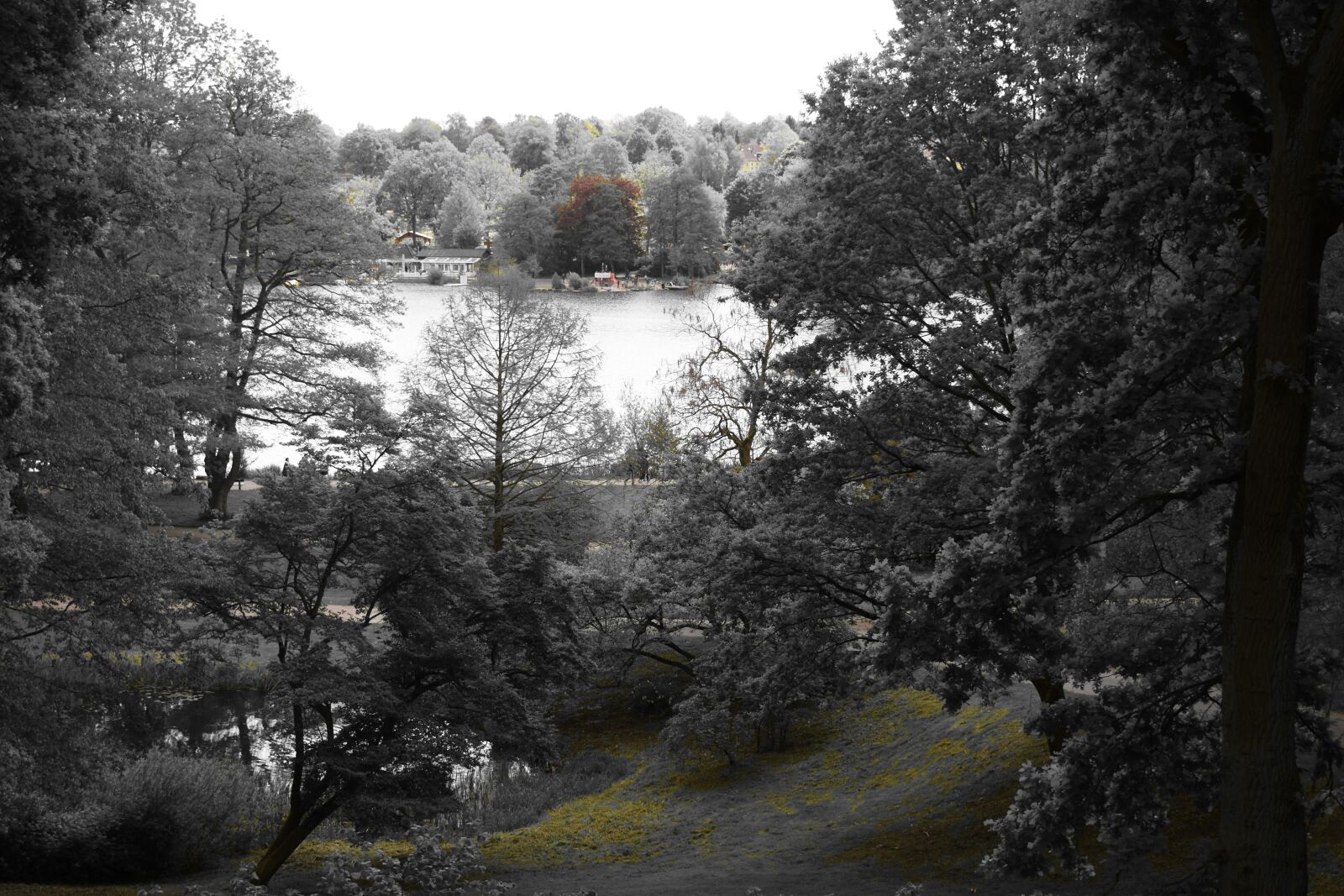 Nikon D3500 sample photo. Nature, park, hamburg photography