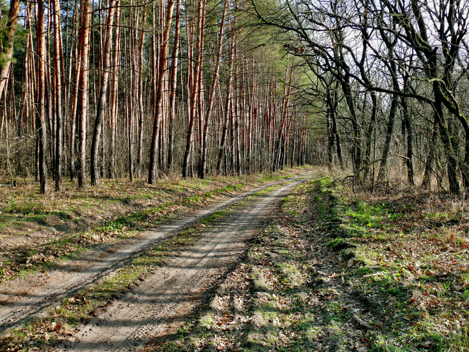 Panasonic DMC-FZ50 sample photo. Country, road photography