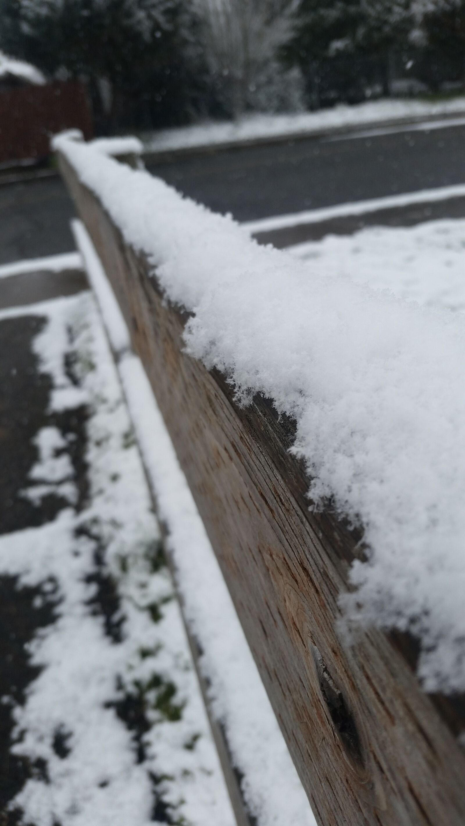 Samsung Galaxy S5 sample photo. Snow, winter, outdoors photography