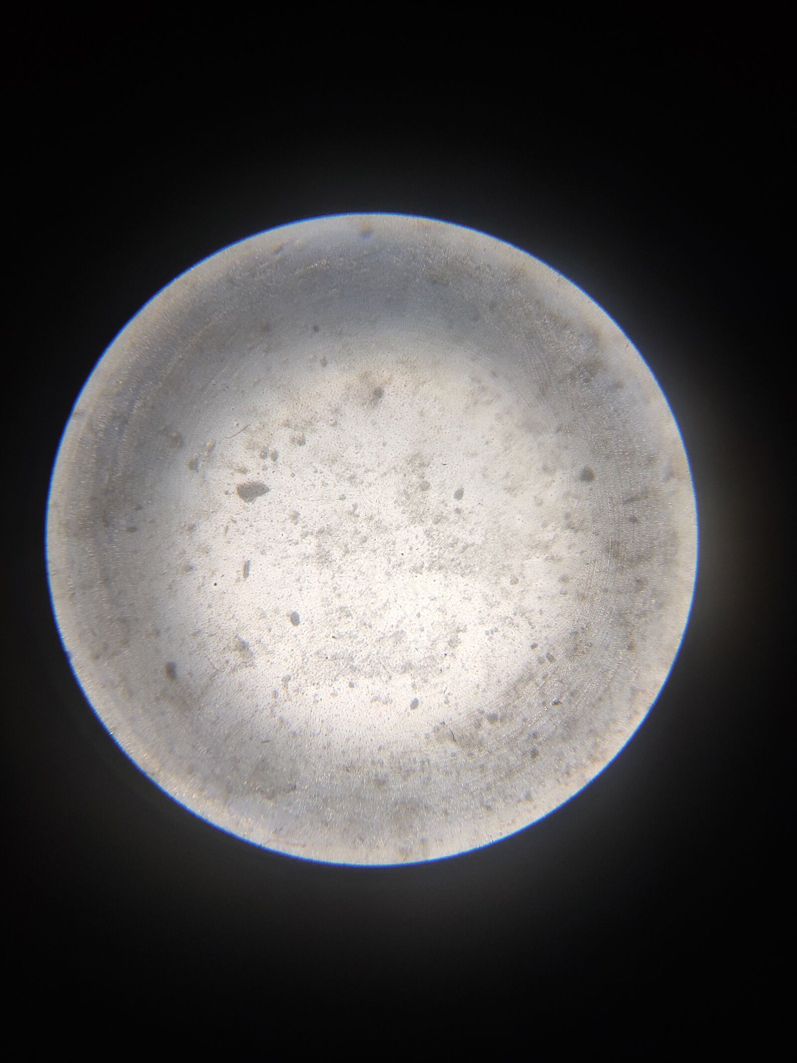 Xiaomi Redmi Note 7 Pro sample photo. Microscope, image, bacteria photography