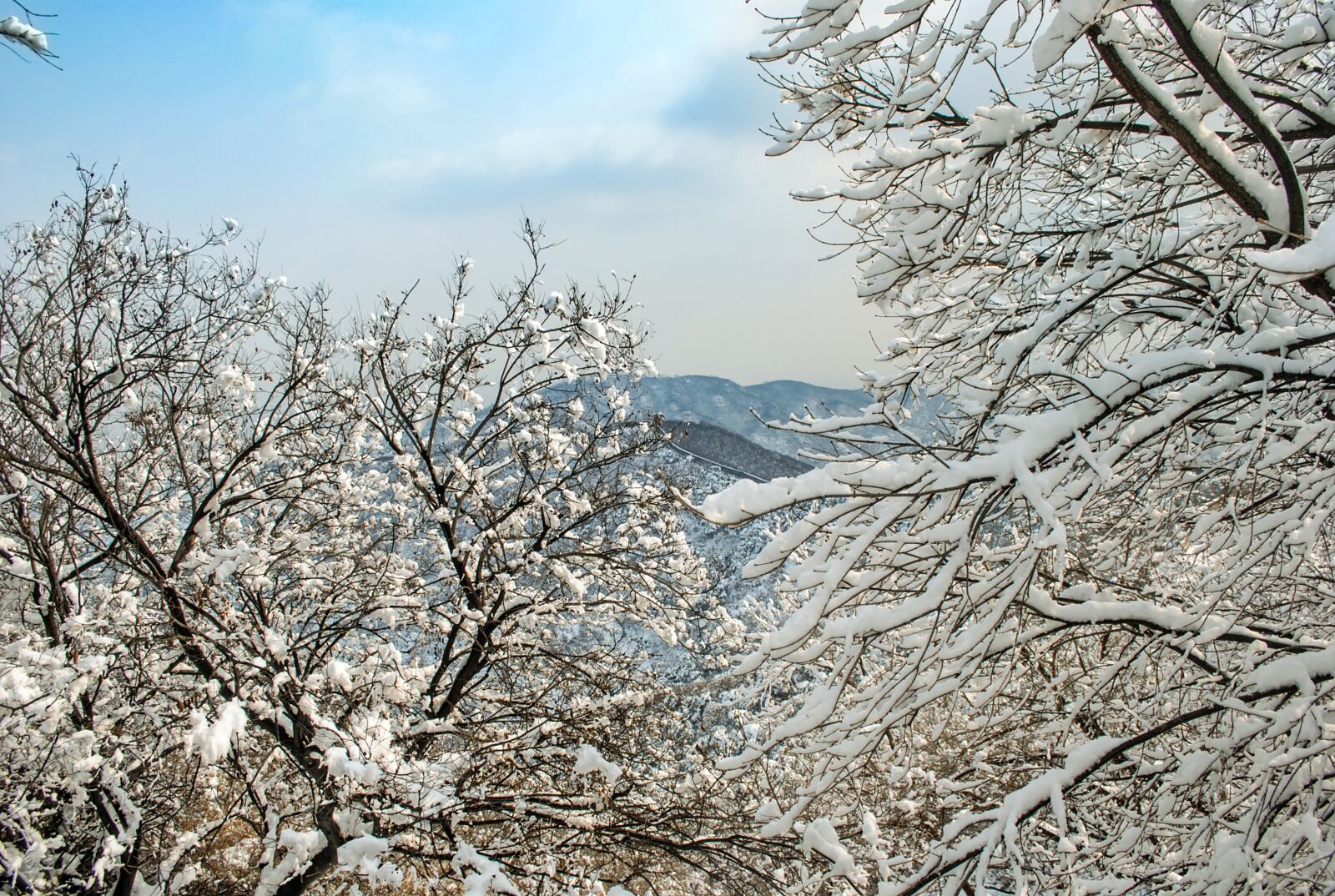 Nikon D3000 sample photo. Winter, snow, snow mountain photography
