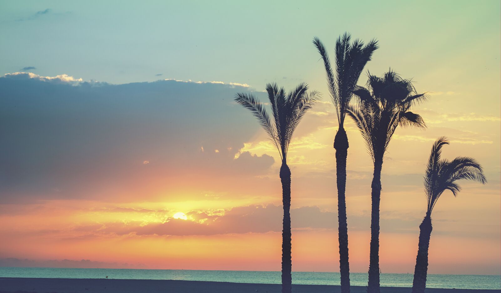 Nikon D3300 sample photo. Beach, palms, dawn photography