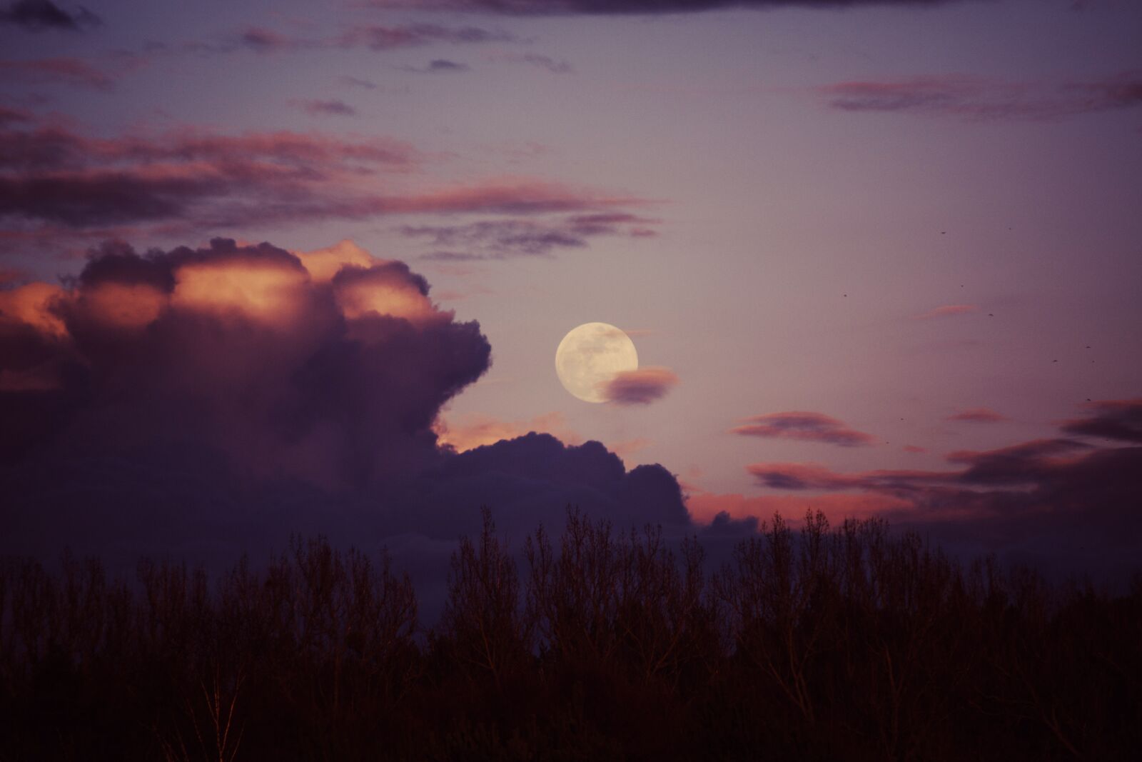 Nikon D5200 sample photo. Moon, sunset, dusk photography