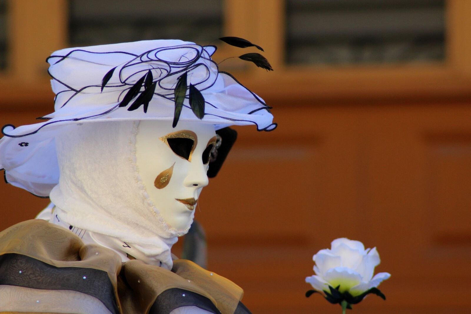 Canon EOS 600D (Rebel EOS T3i / EOS Kiss X5) sample photo. Carnival, mask, disguise photography