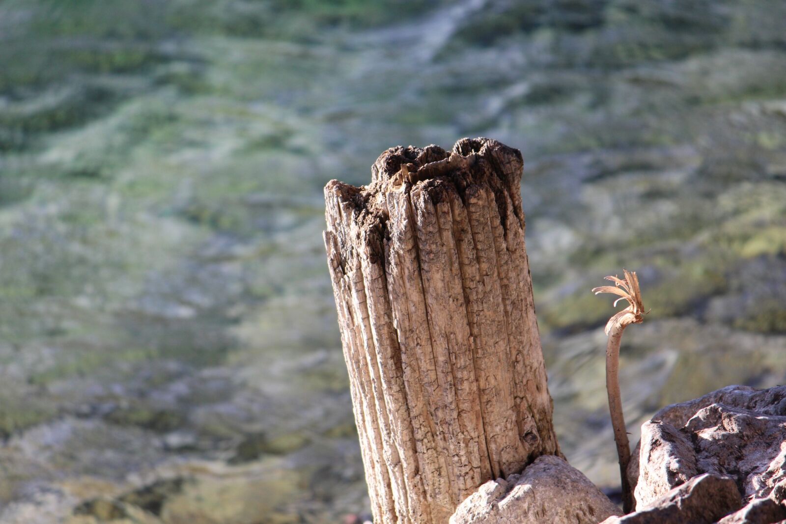 Canon EOS 650D (EOS Rebel T4i / EOS Kiss X6i) sample photo. Butt, walchensee, water photography