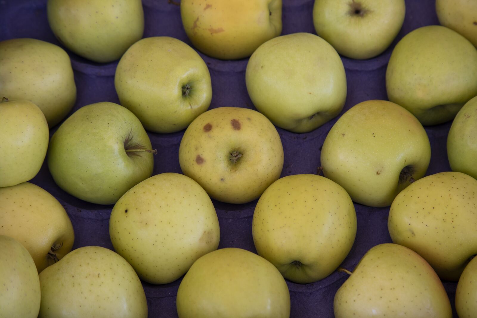 Canon EOS 5D Mark IV sample photo. Apple, market, apples photography
